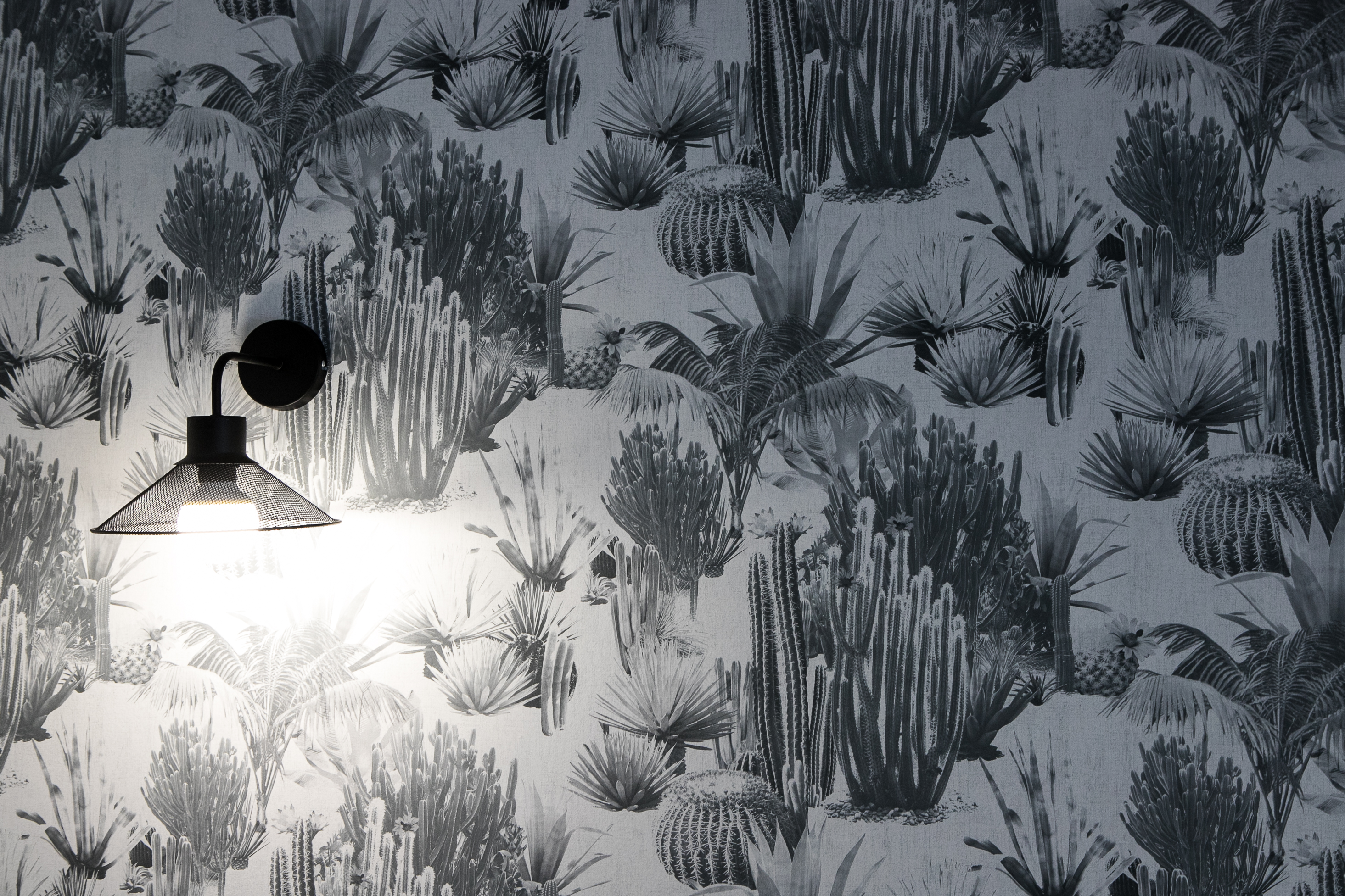 Hôtel Majestic by null