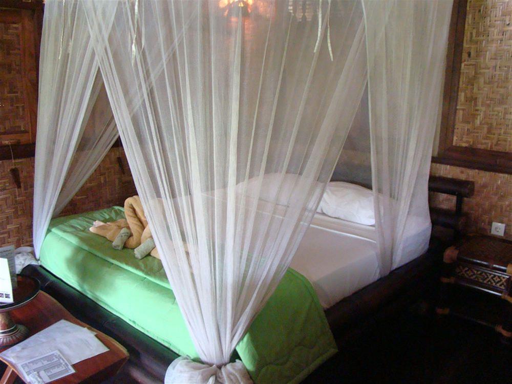 Flower Bud Bungalow - nuotrauka