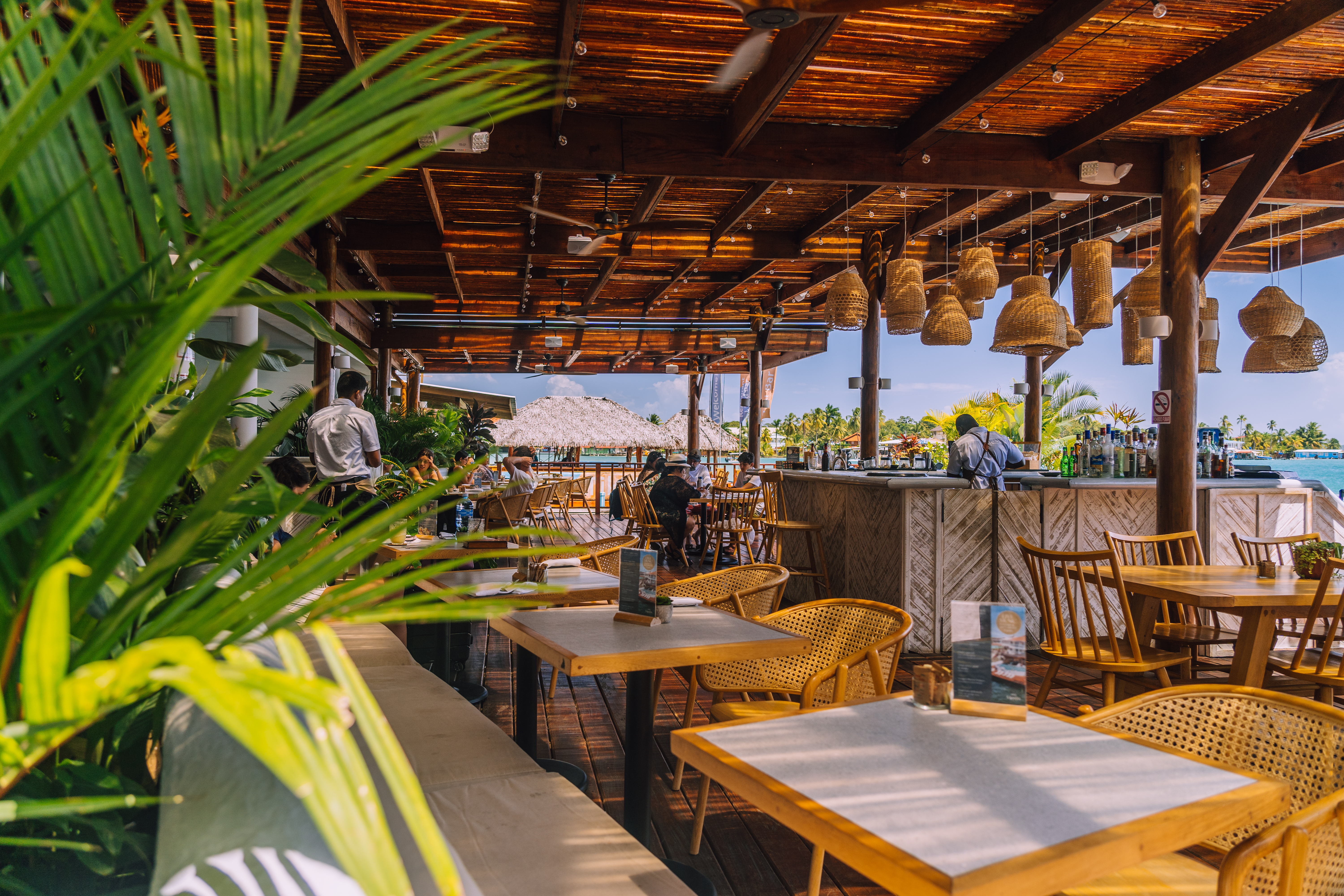 Tropical Suites