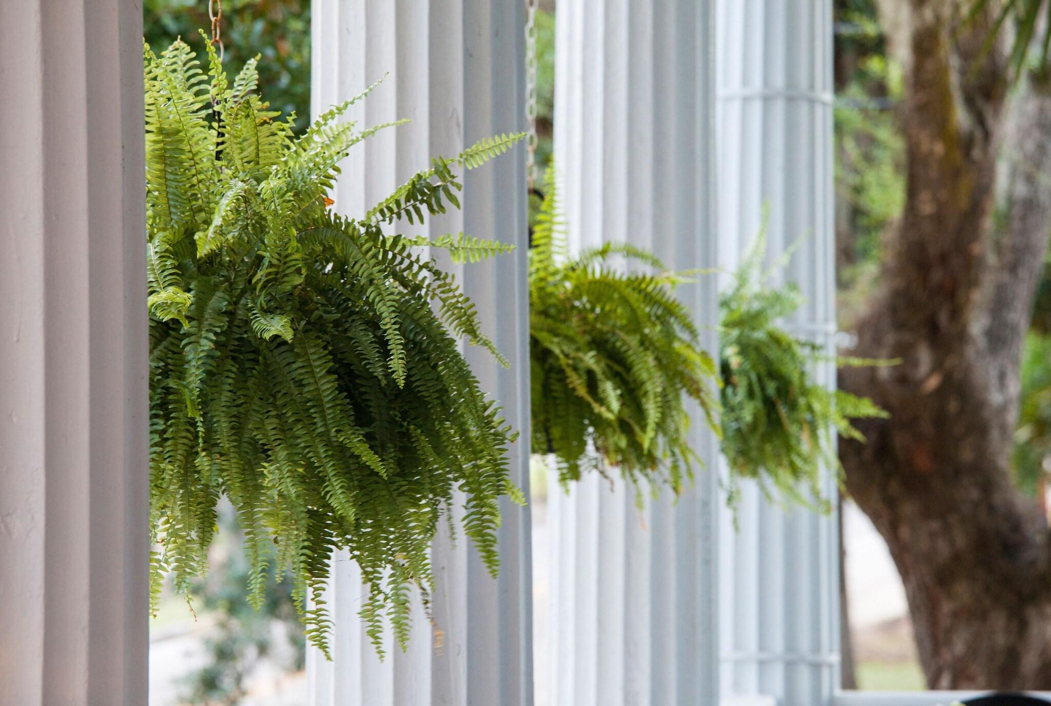 Rhett House Inn by null