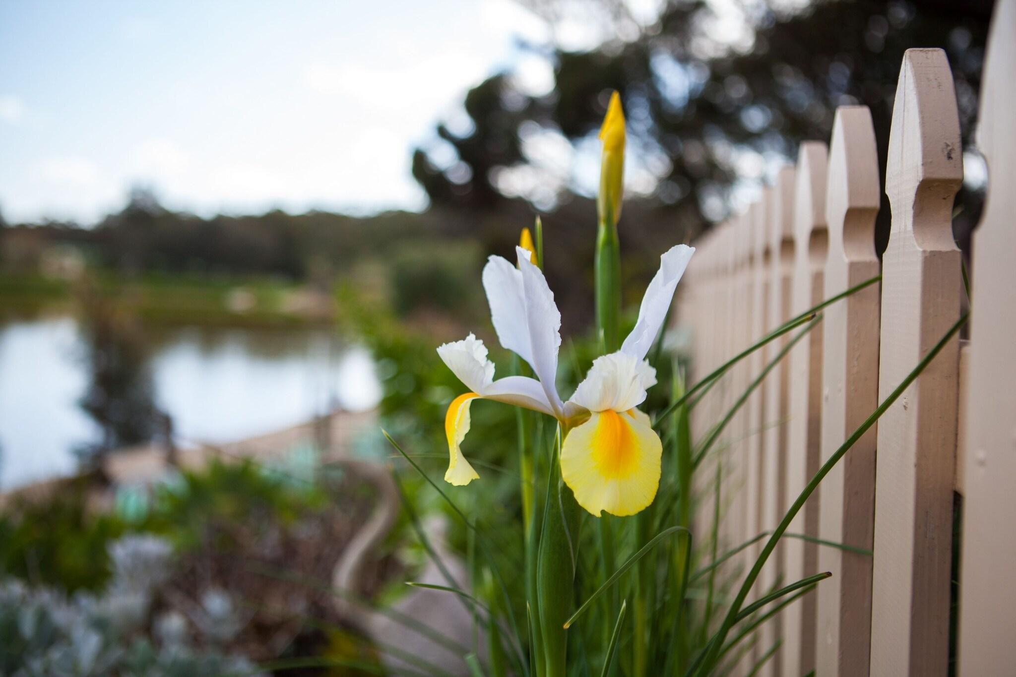 Stonewell Cottages & Vineyards by null