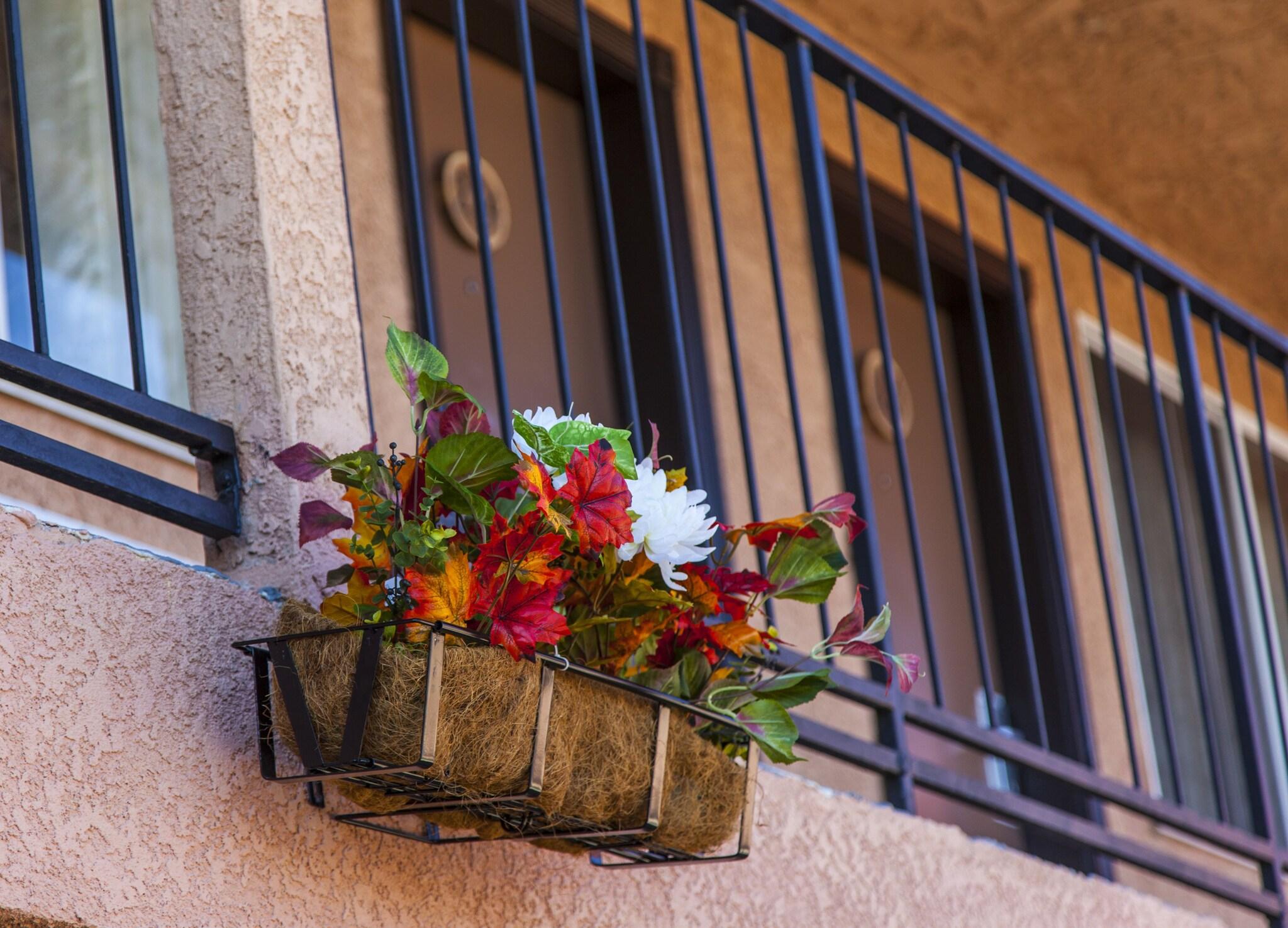 Mountain View Lodge by null