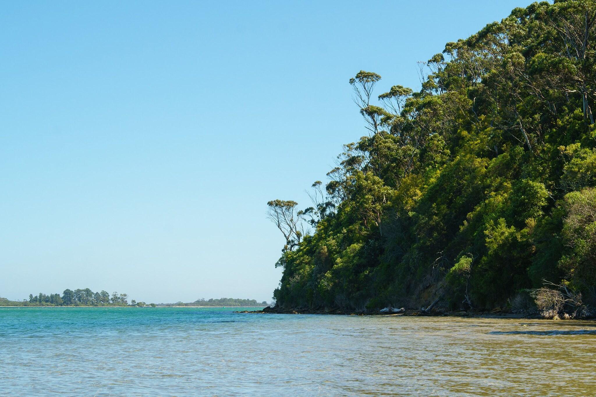 Kalimna Woods Cottages by null