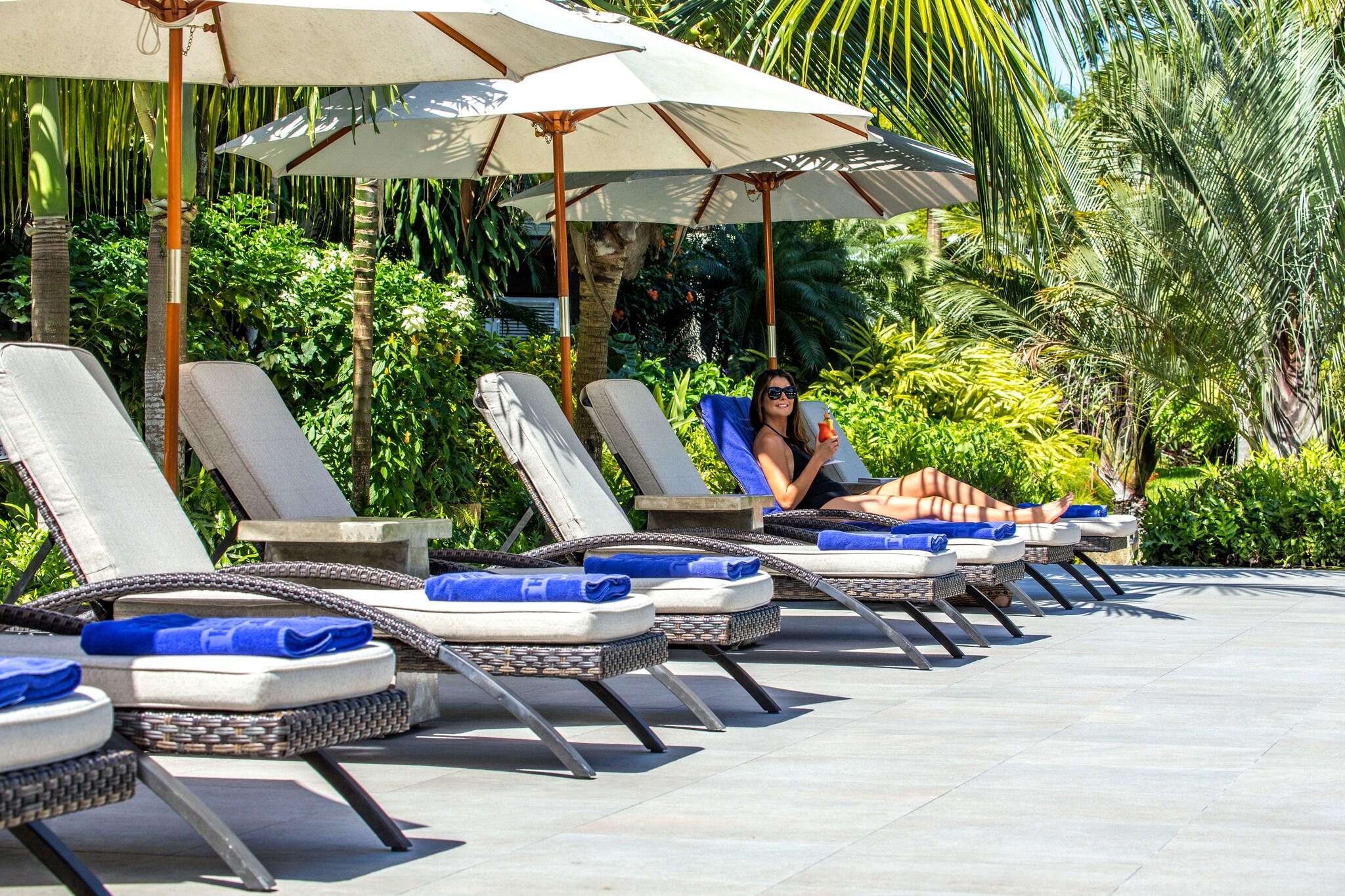 The Sandpiper by null