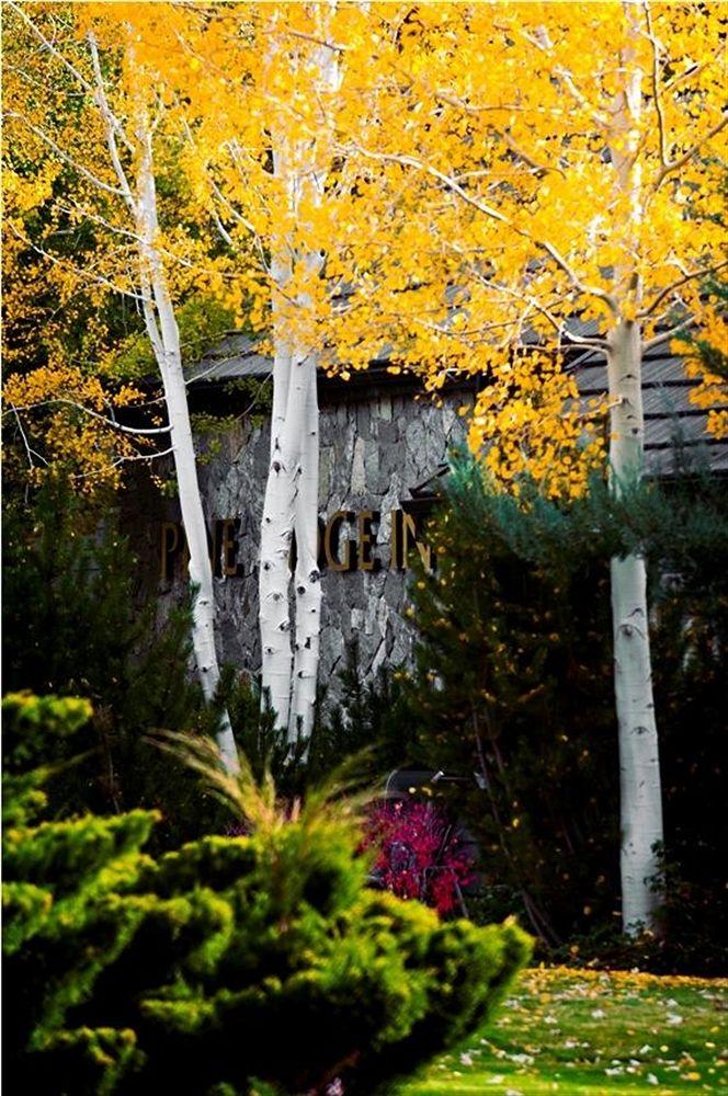 Pine Ridge Inn by null