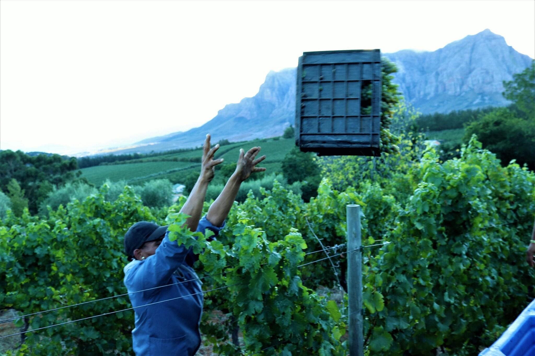 Clouds Estate by null