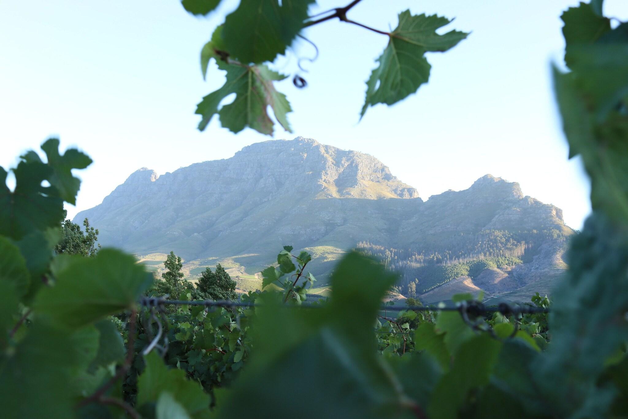 Clouds Estate by null