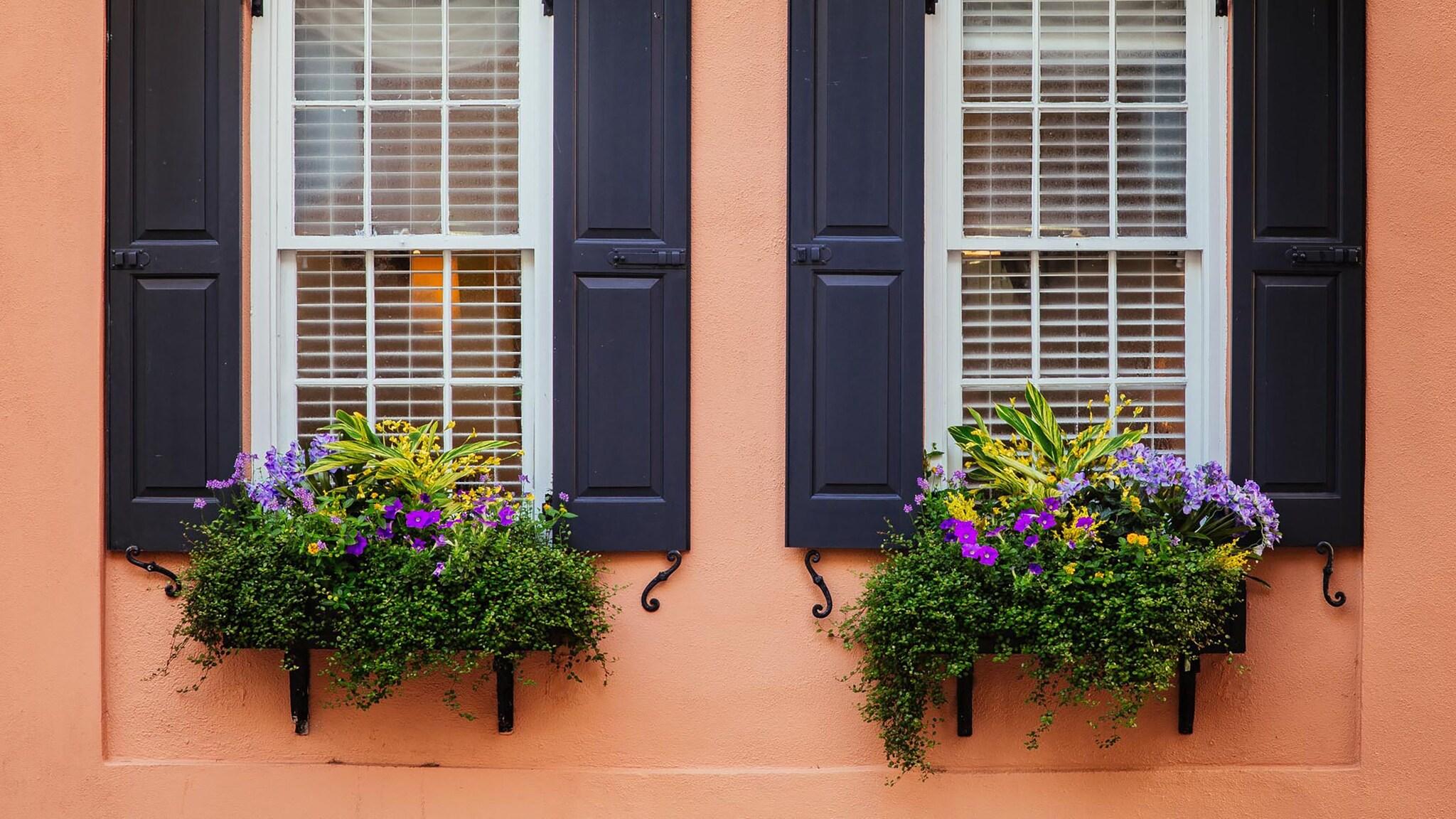 The Elliott House Inn by null