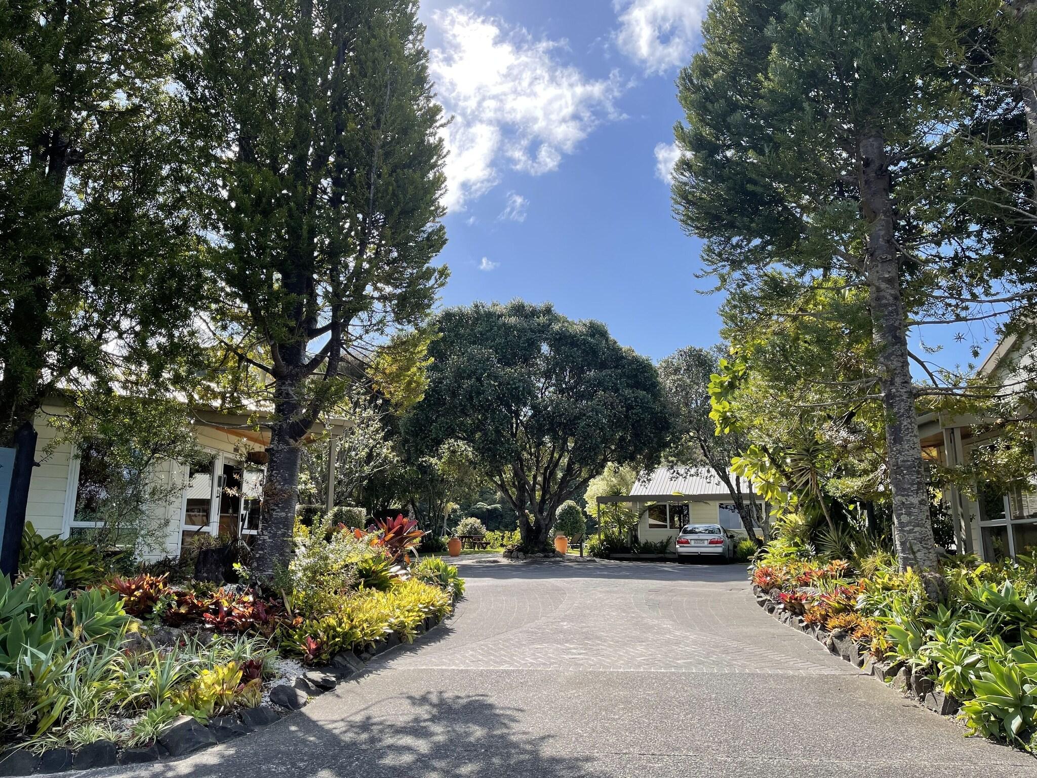 Tatahi Lodge Beach Resort, Hahei by null