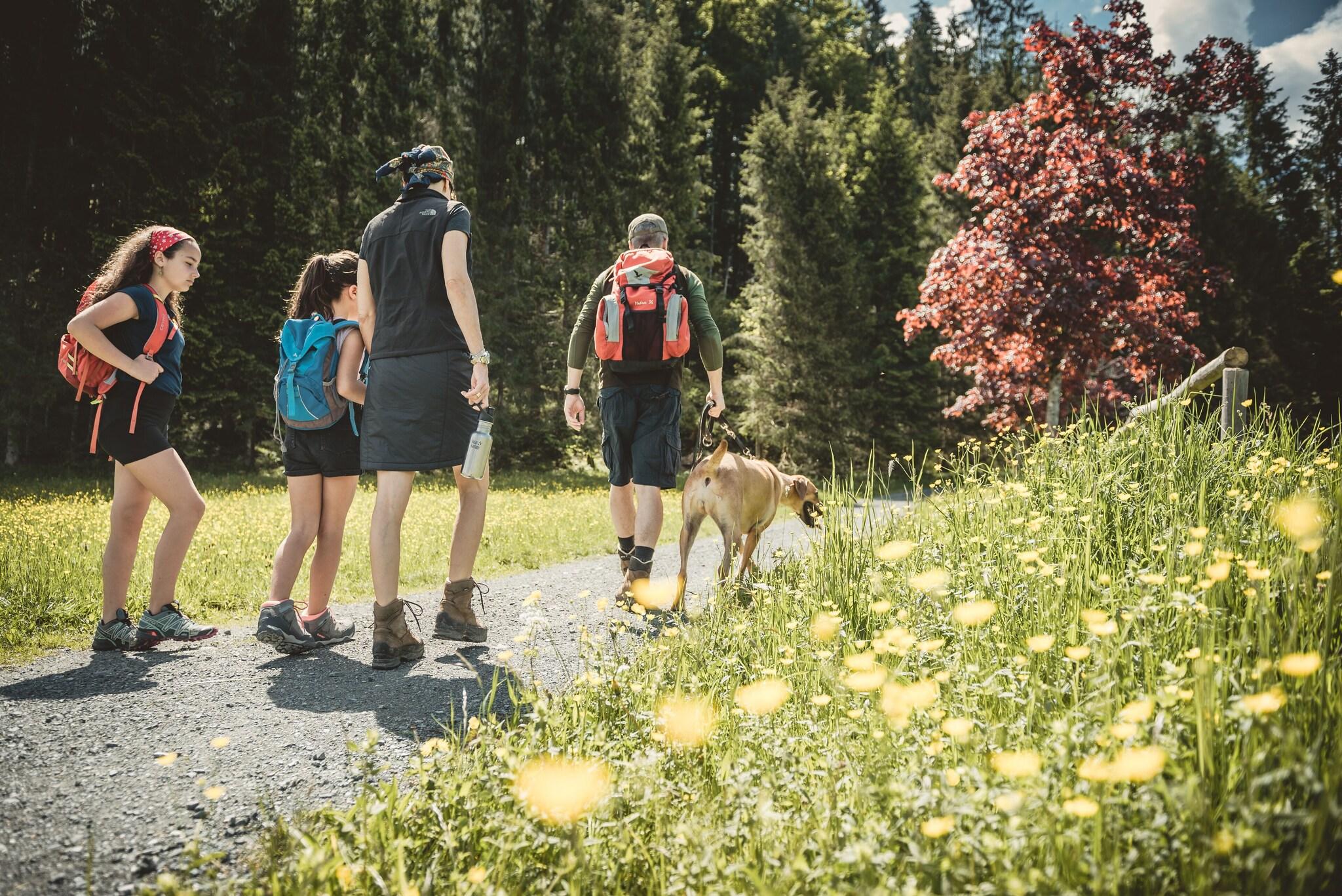 Relais & Châteaux Gut Steinbach Hotel Chalets SPA by null