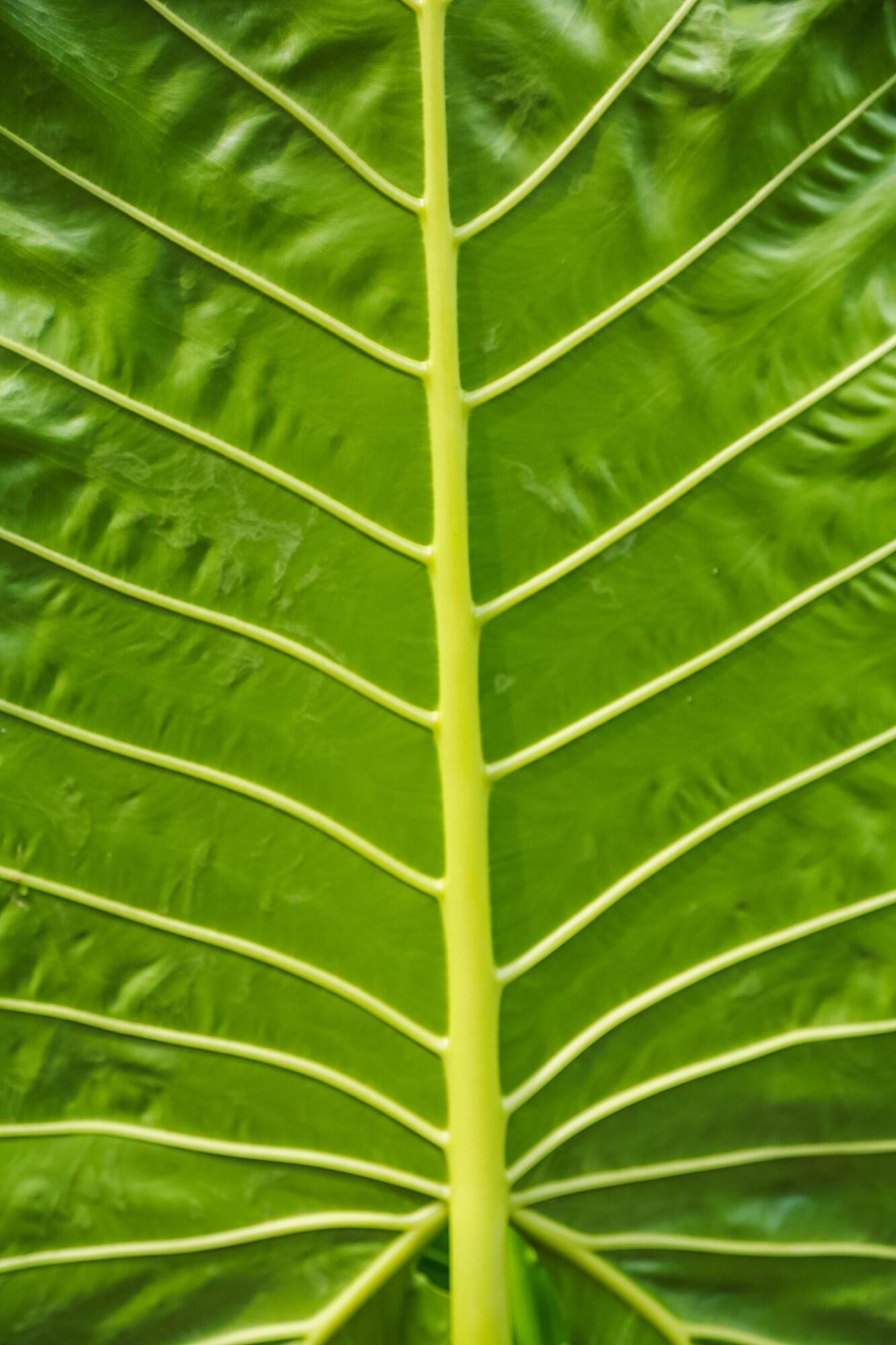 Port Douglas Motel by null