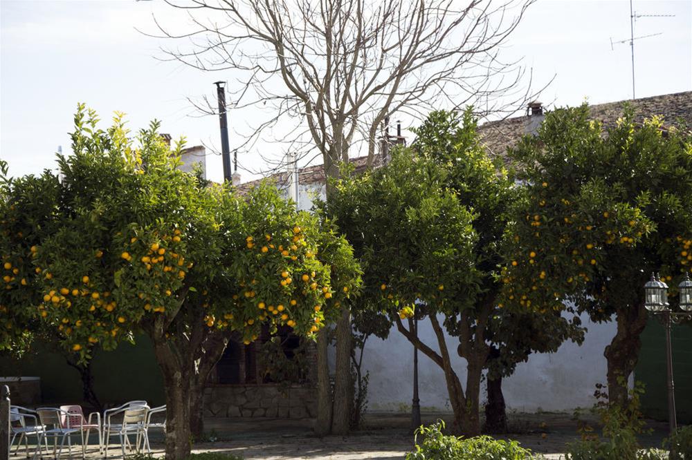 Hostal San Miguel by null