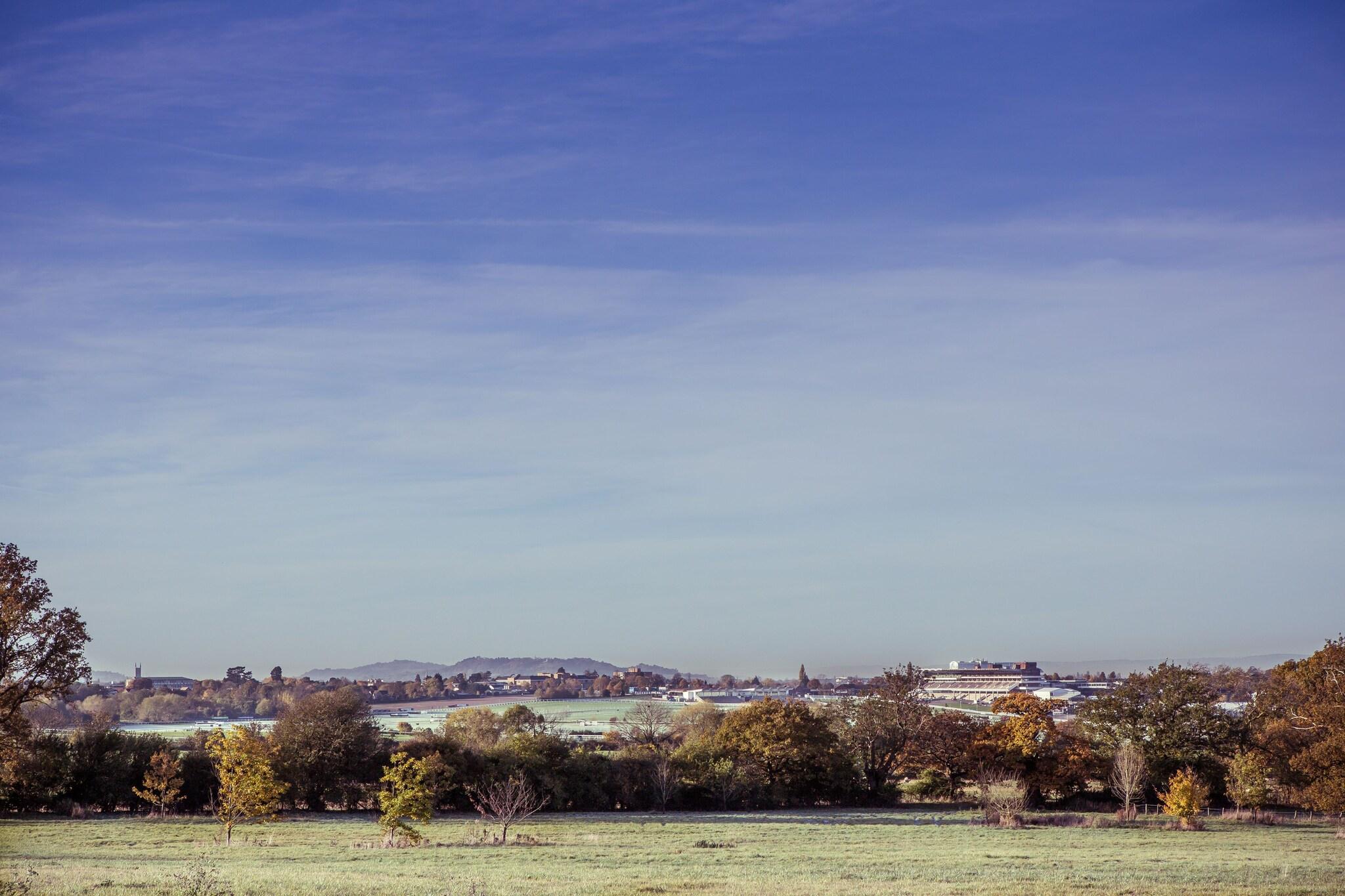 Ellenborough Park by null