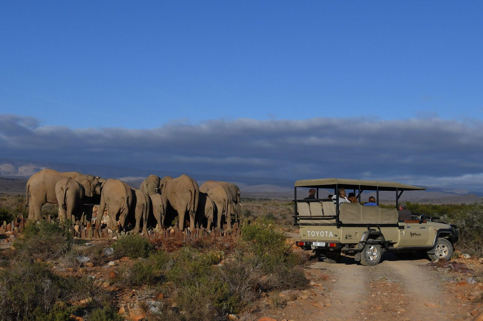 Sanbona Wildlife Reserve by null
