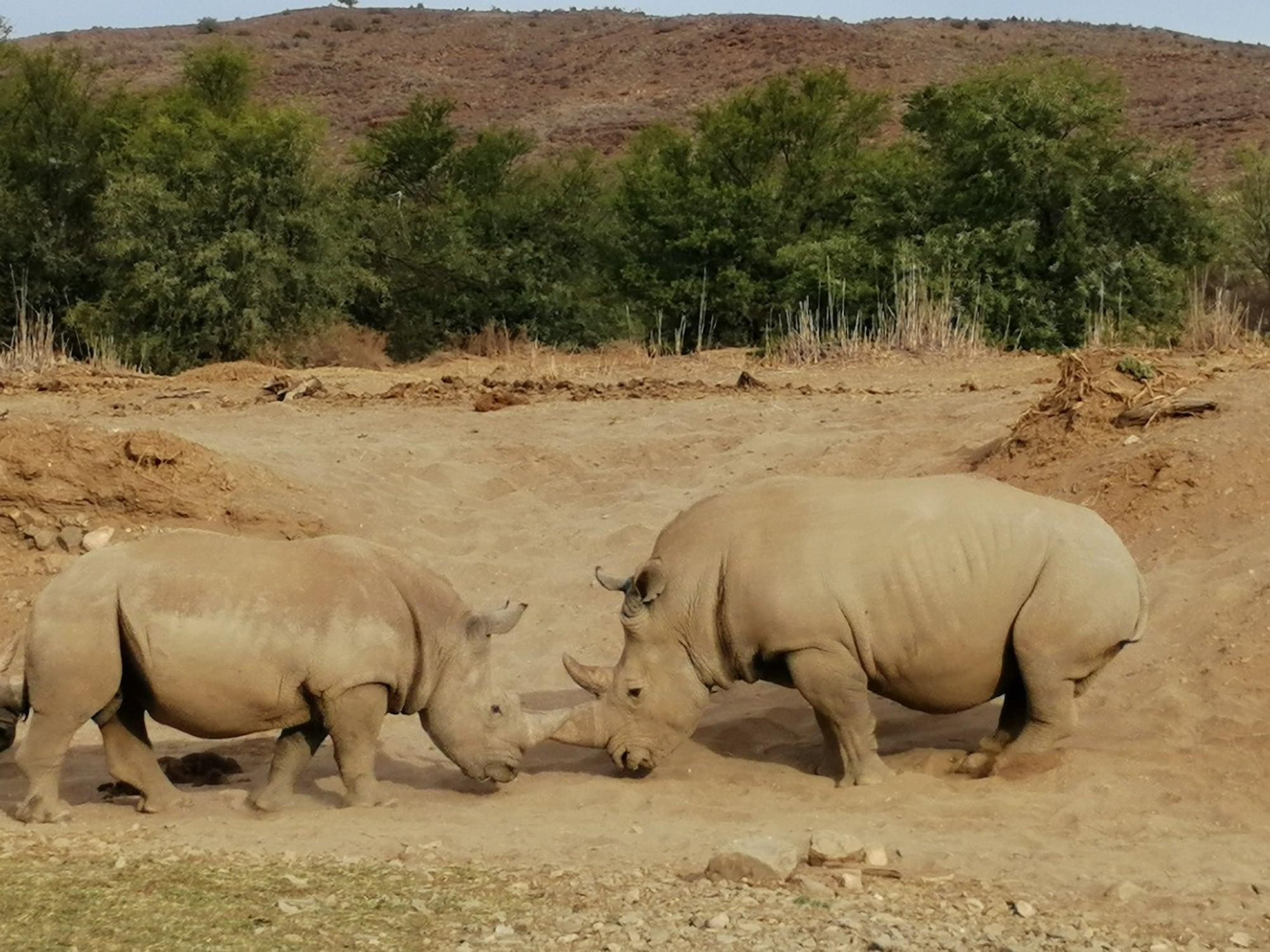 Sanbona Wildlife Reserve by null