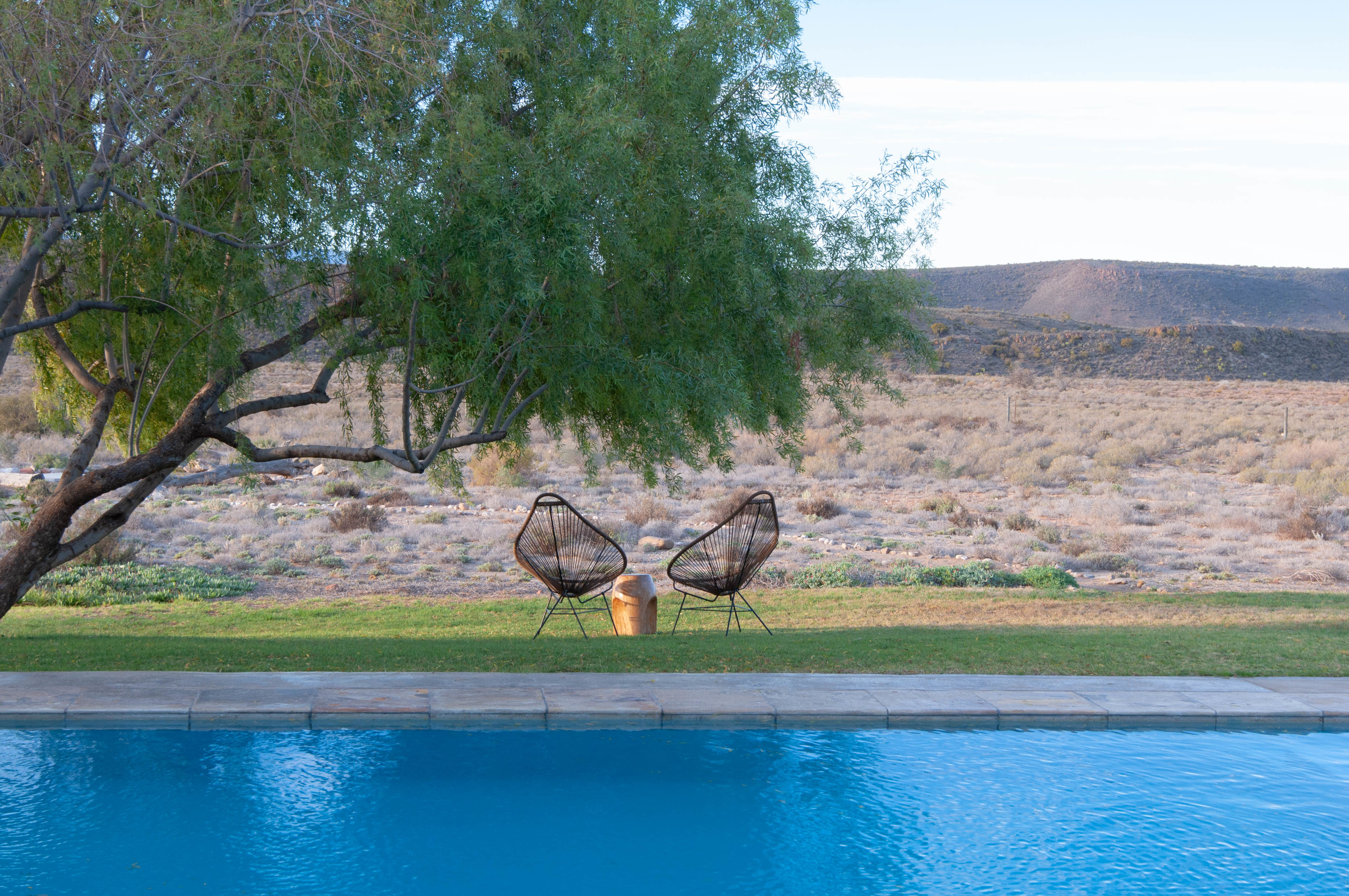 Sanbona Wildlife Reserve by null