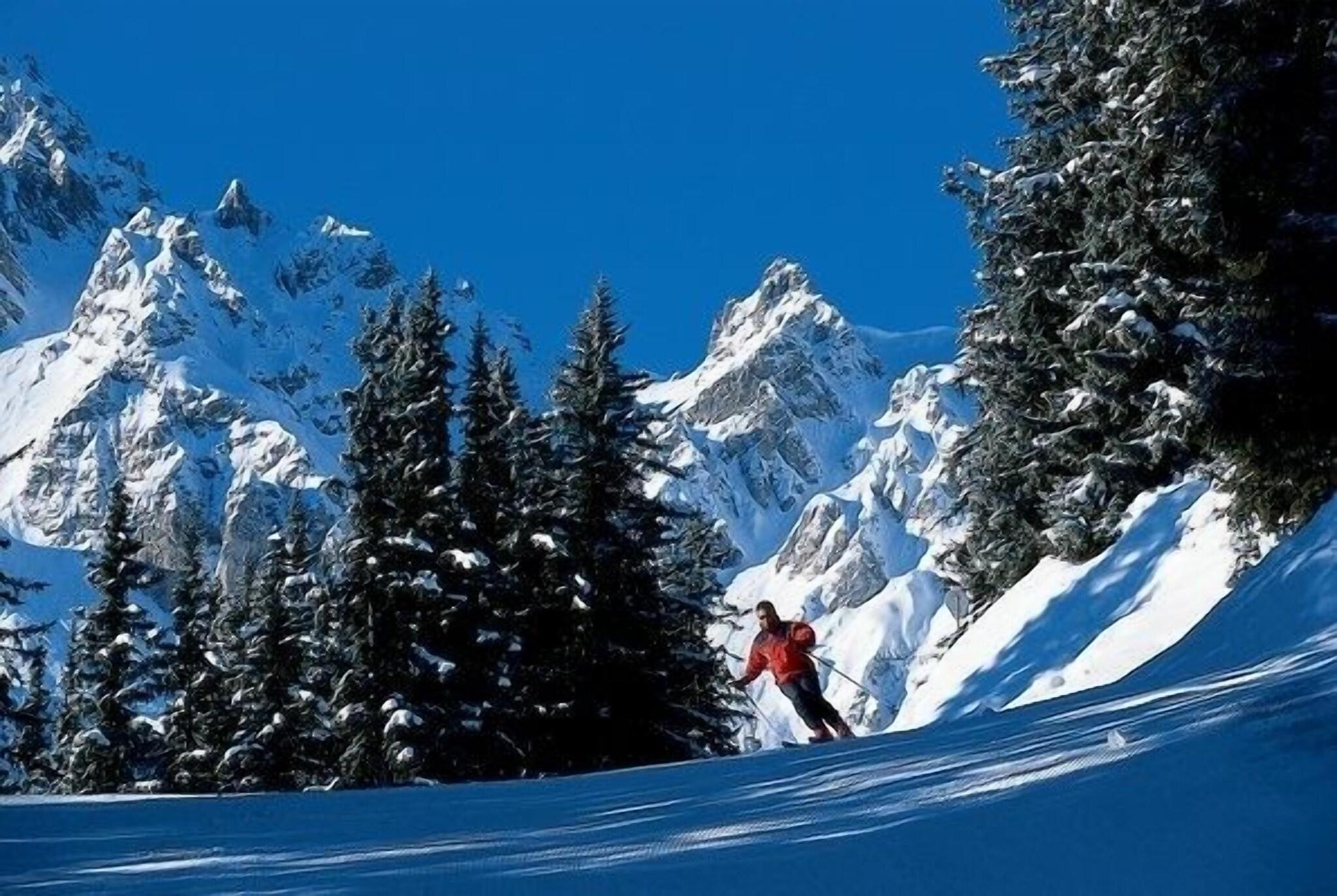 Les Suites de la Potinière by null