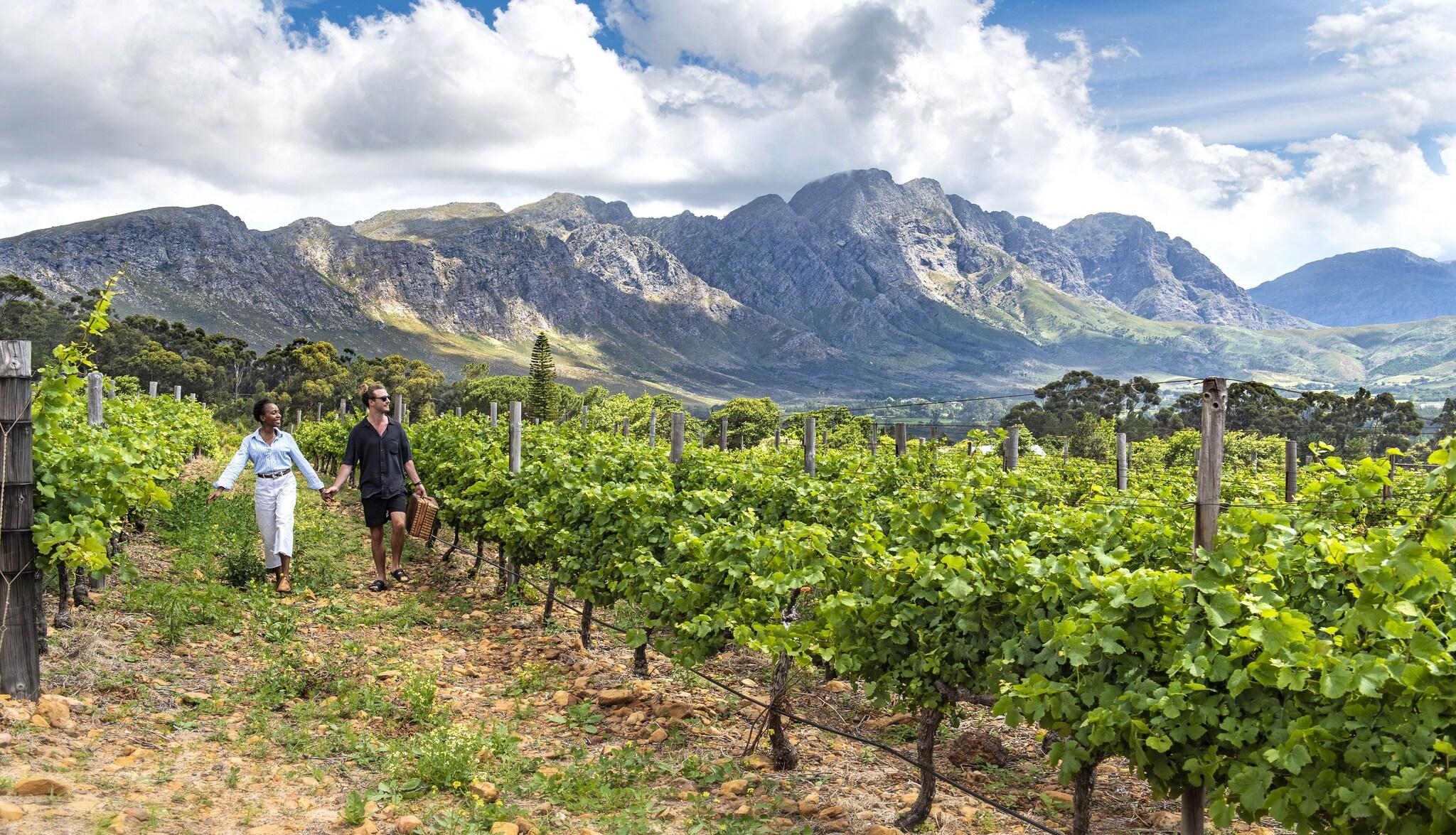 La Fontaine Boutique Hotel by The Oyster Collection by null