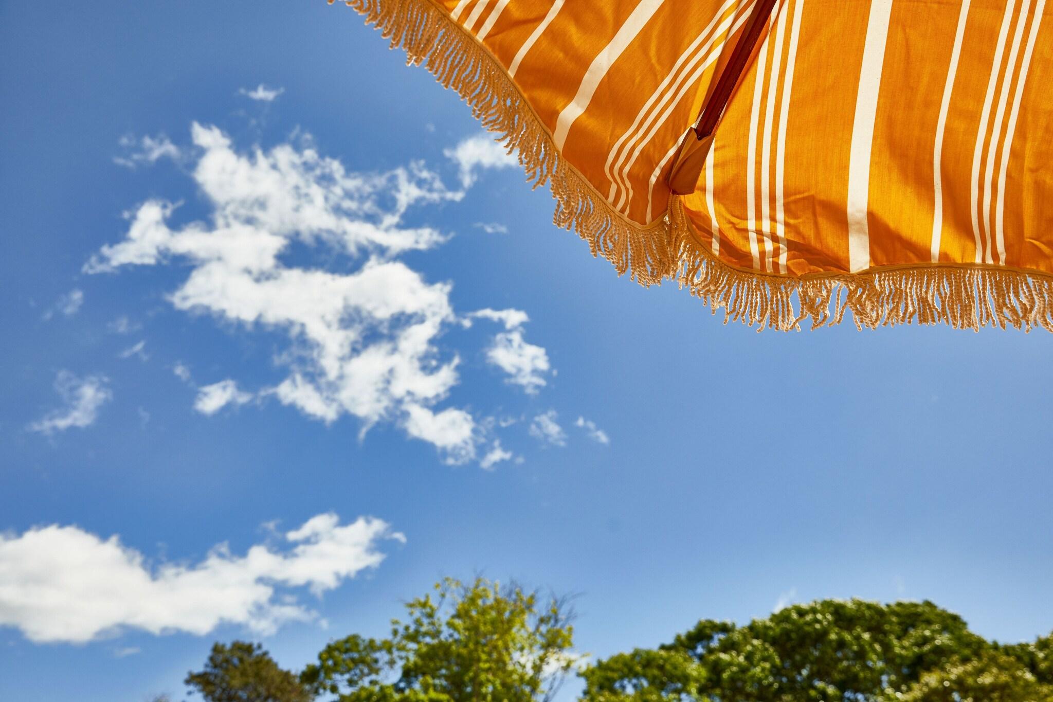 Bluebird Dennisport by null