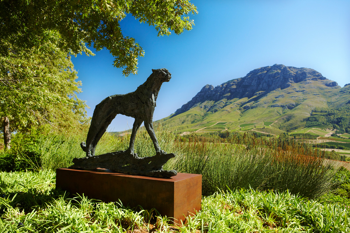 Delaire Graff Lodges And Spa by null