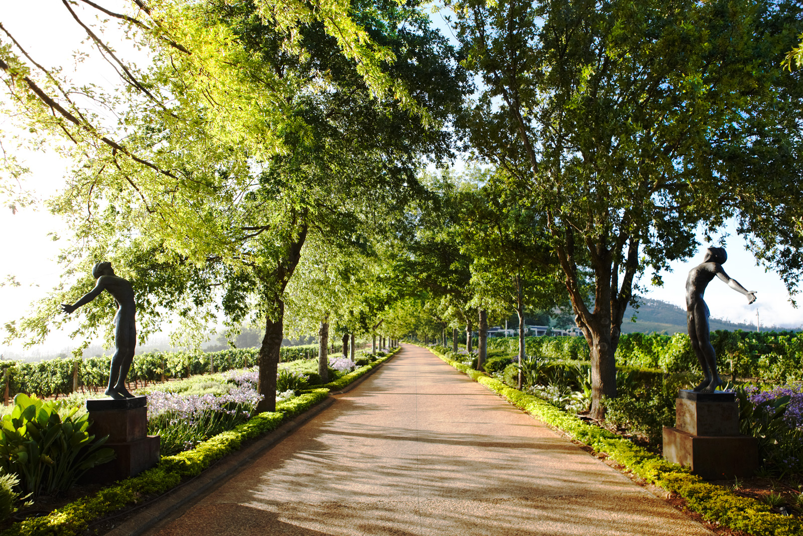 Delaire Graff Lodges And Spa by null