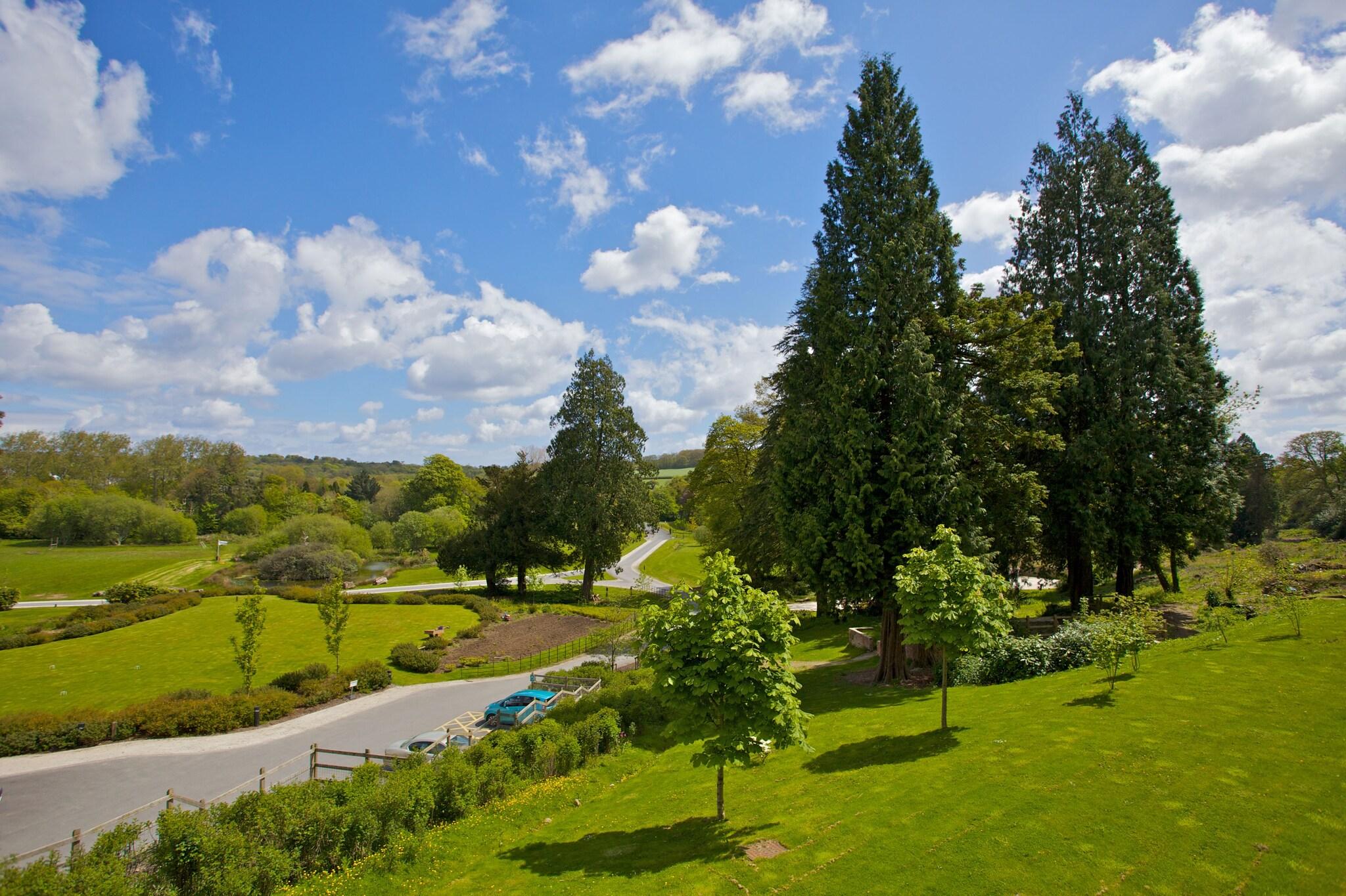 The Cornwall Hotel & Spa by null