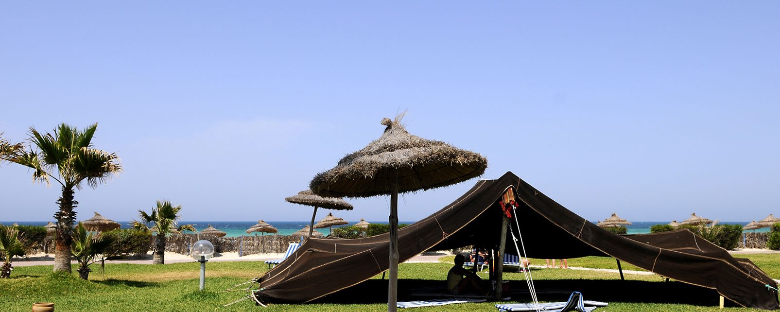 Al Jazira Beach - фото