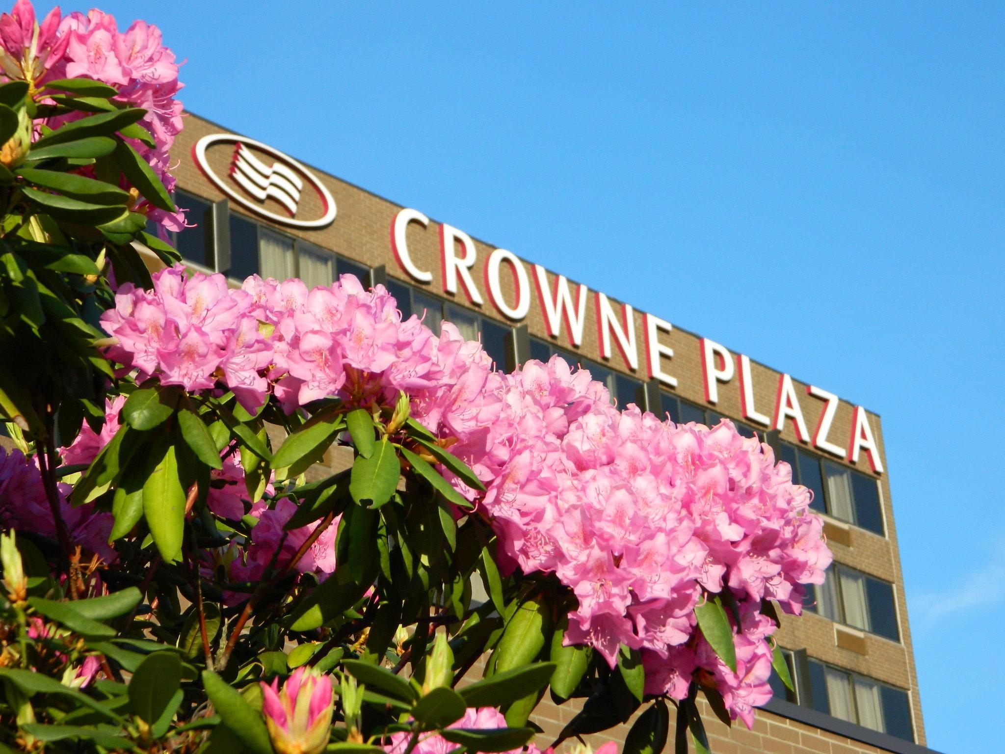 Crown Plaza Hotel, Danbury CT