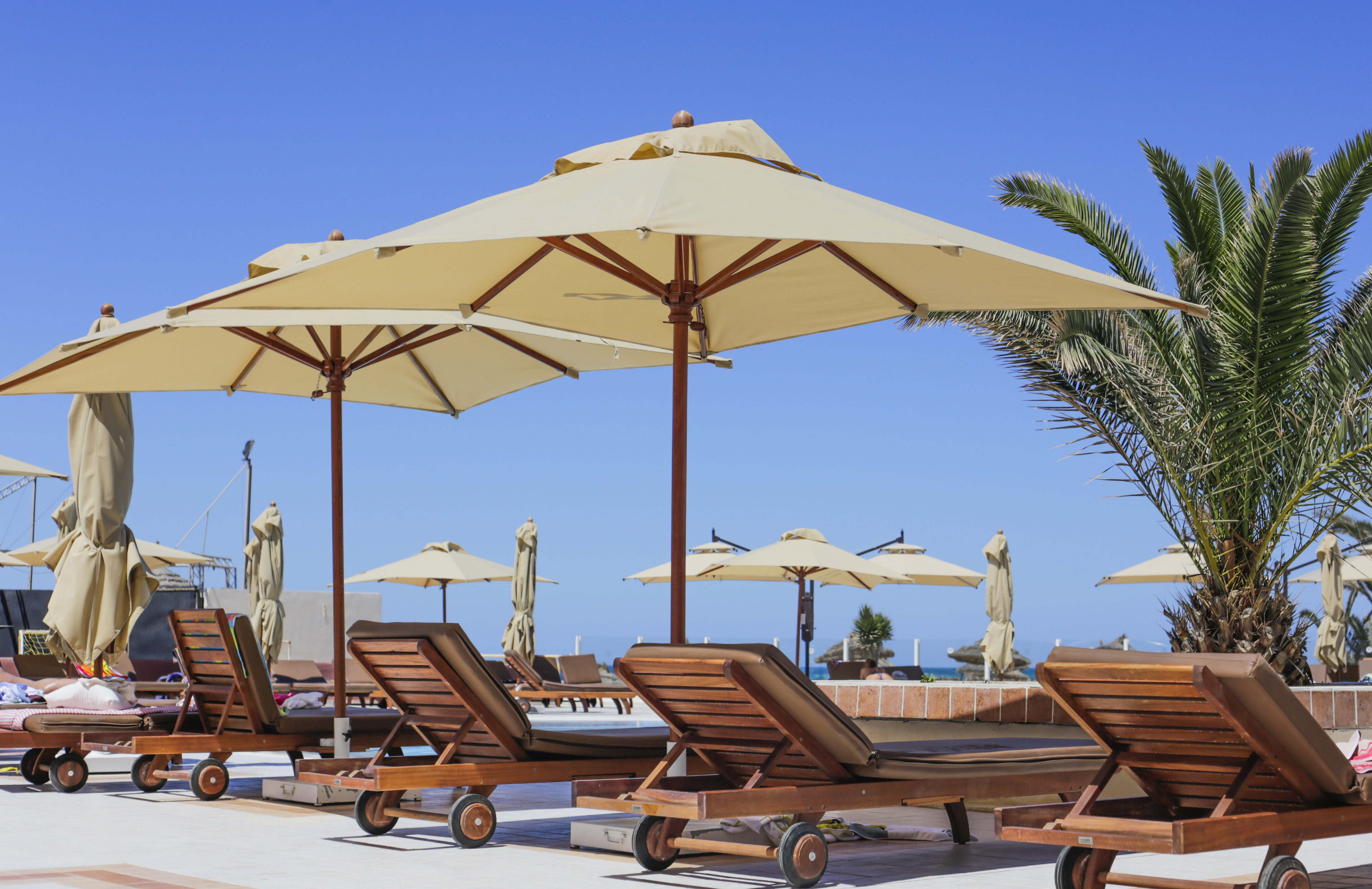 Club Telemaque beach & spa - фото