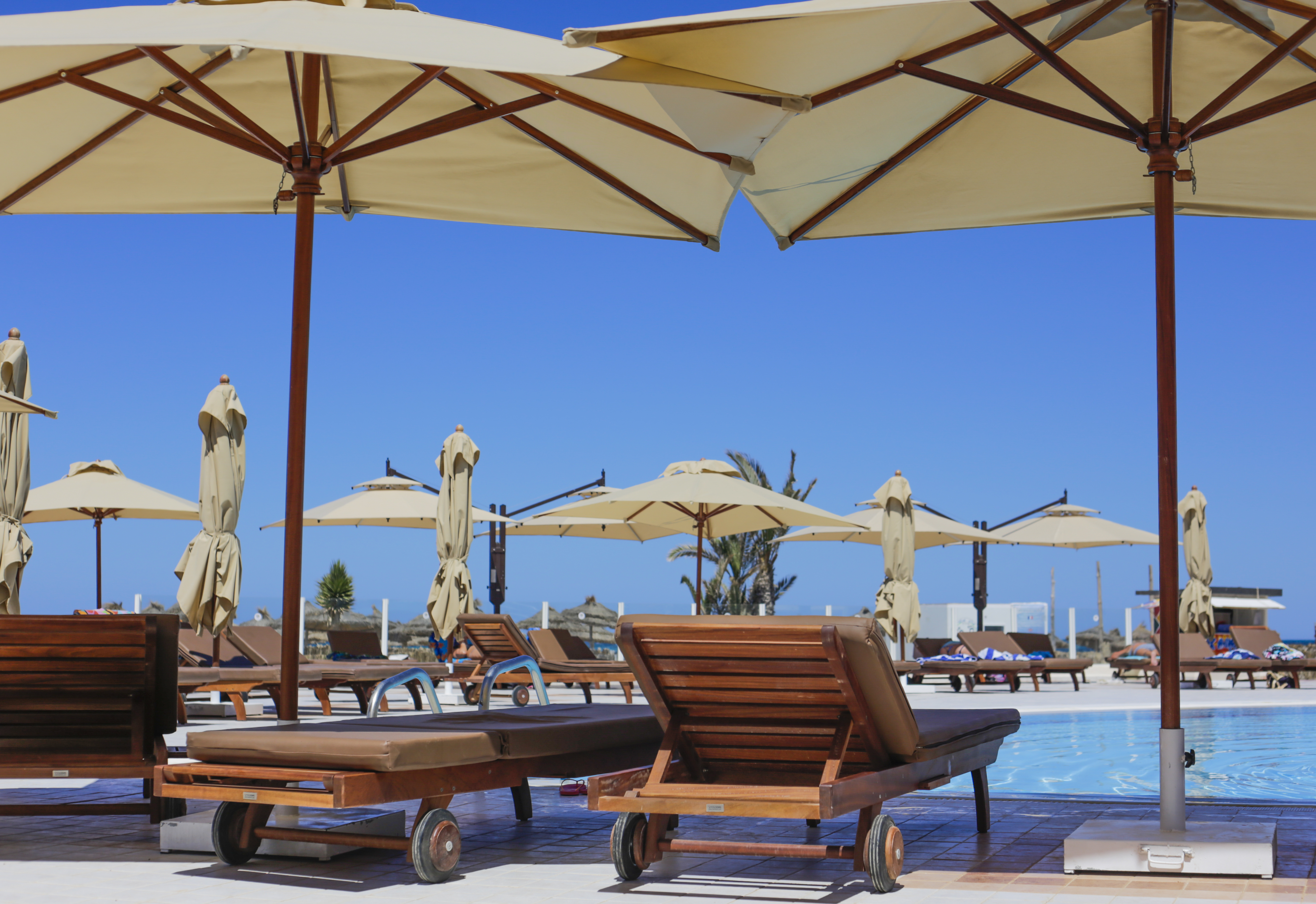 Club Telemaque beach & spa - фото