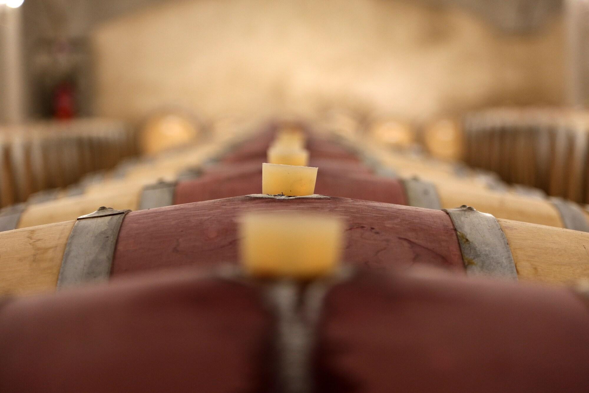 Chateau De Mercues by null