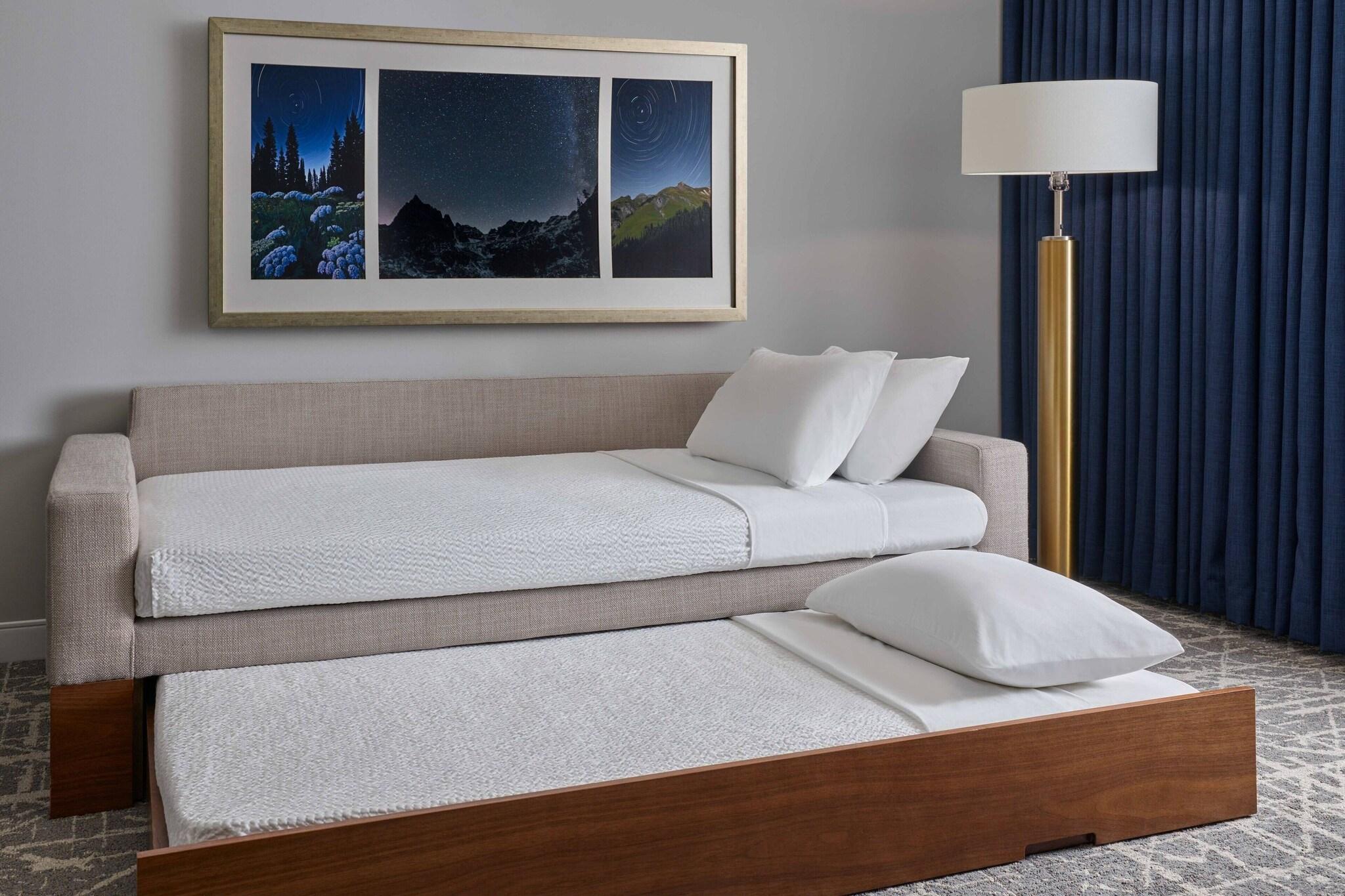 Springhill Suites By Marriott Denver Downtown