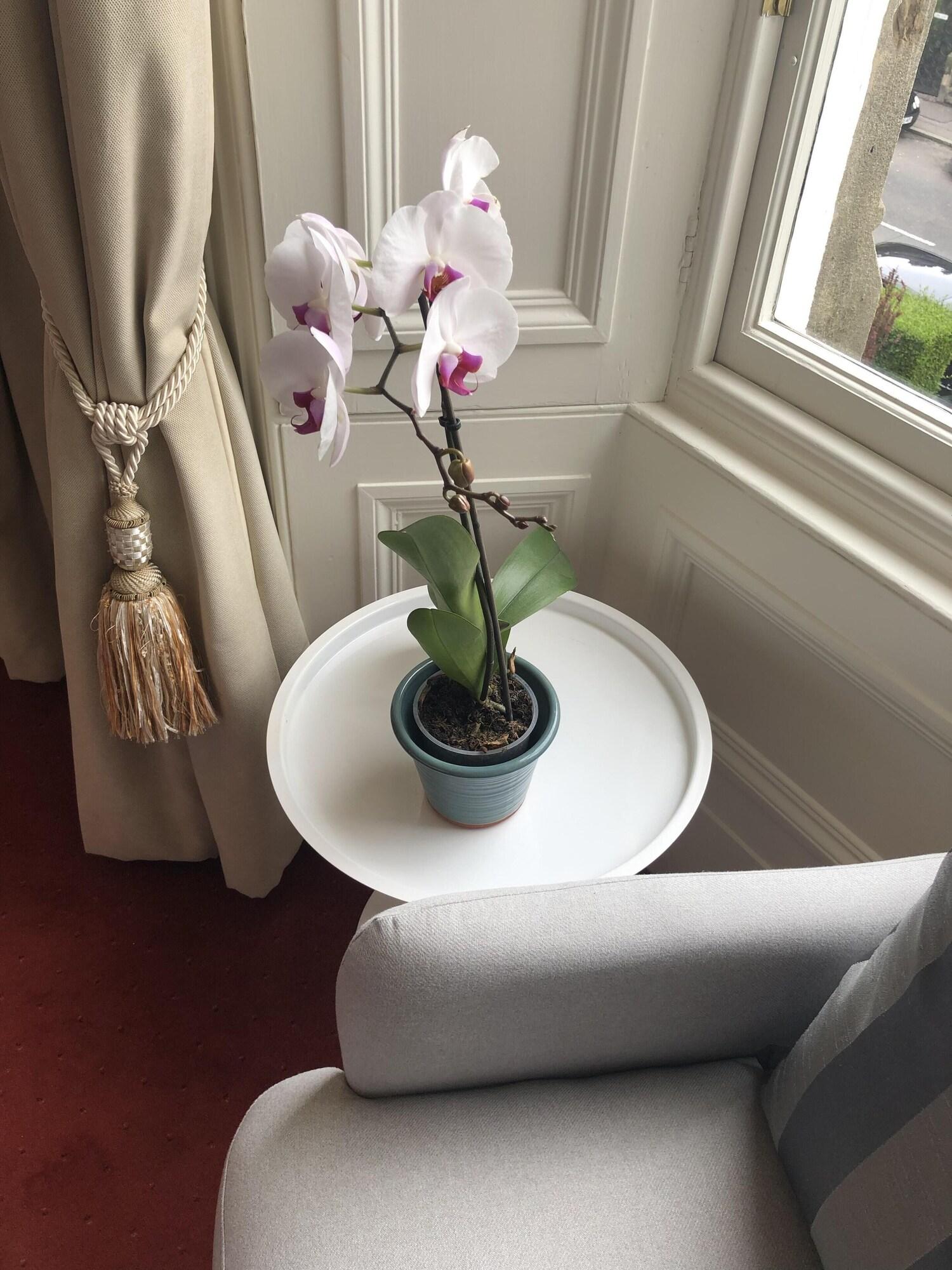 Sheridan Edinburgh Guest House by null