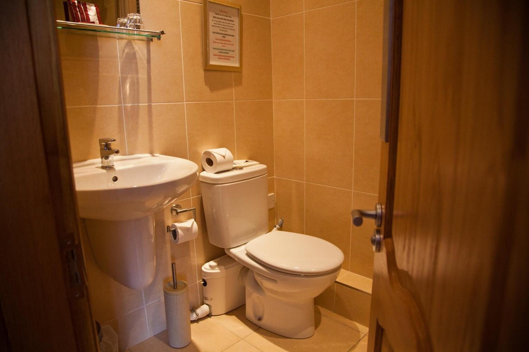 The City Hotel by null