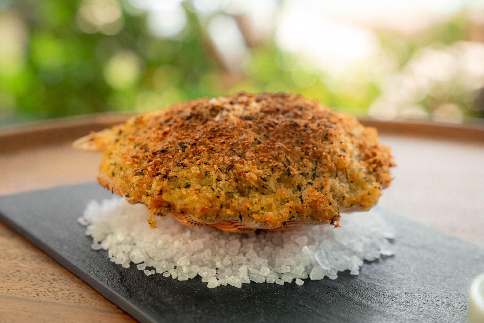 Awasi Santa Catarina by null