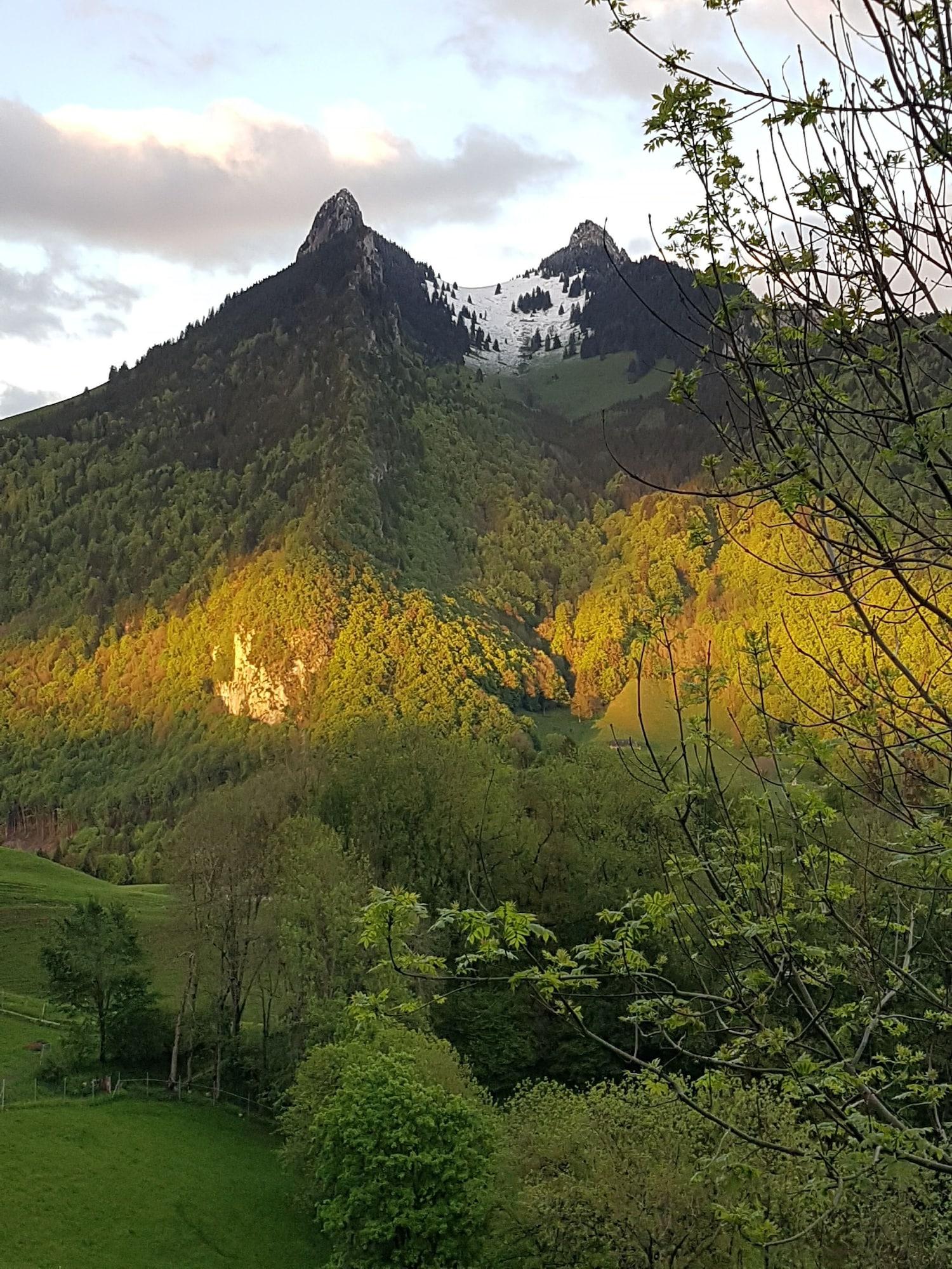 Hôtel de Gruyères by null
