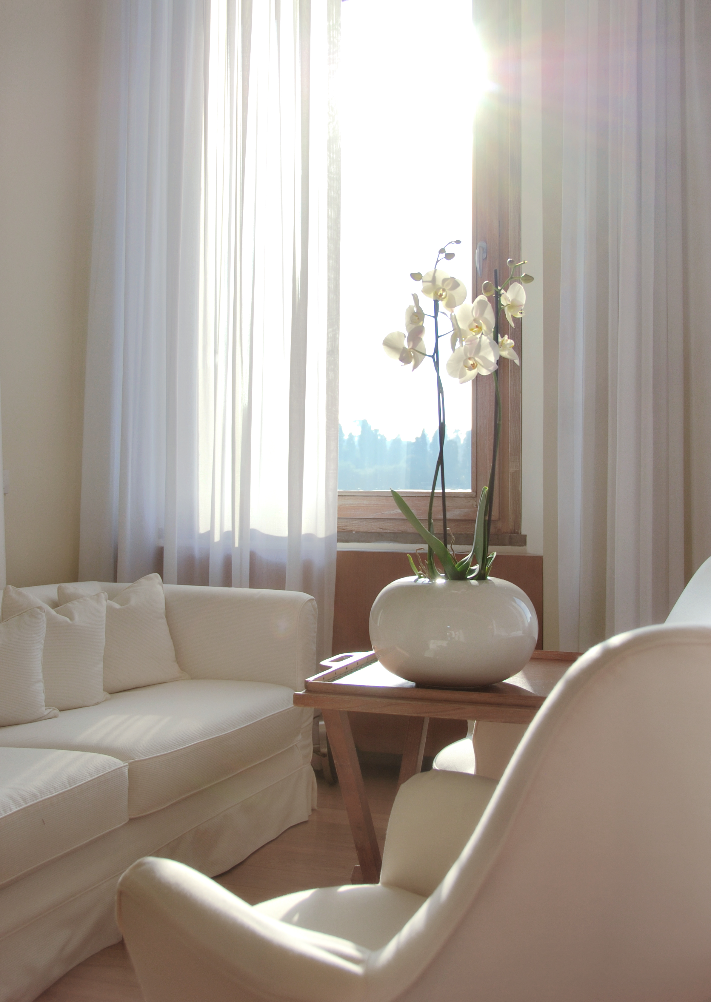 Hotel Continentale by null