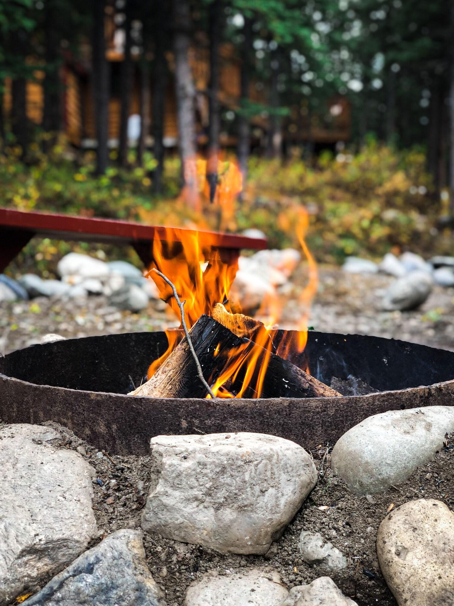 Denali Crow's Nest Log Cabins by null