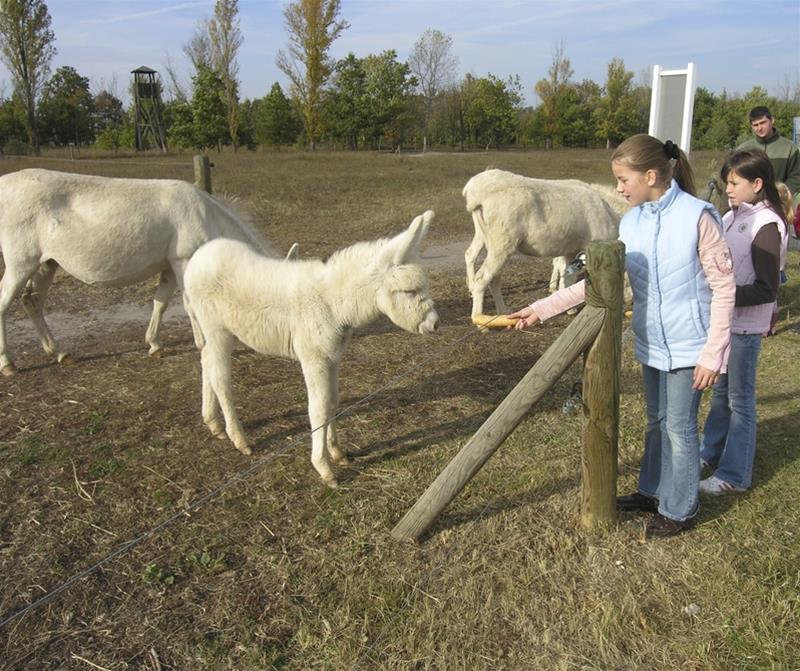 VILA VITA Pannonia by null