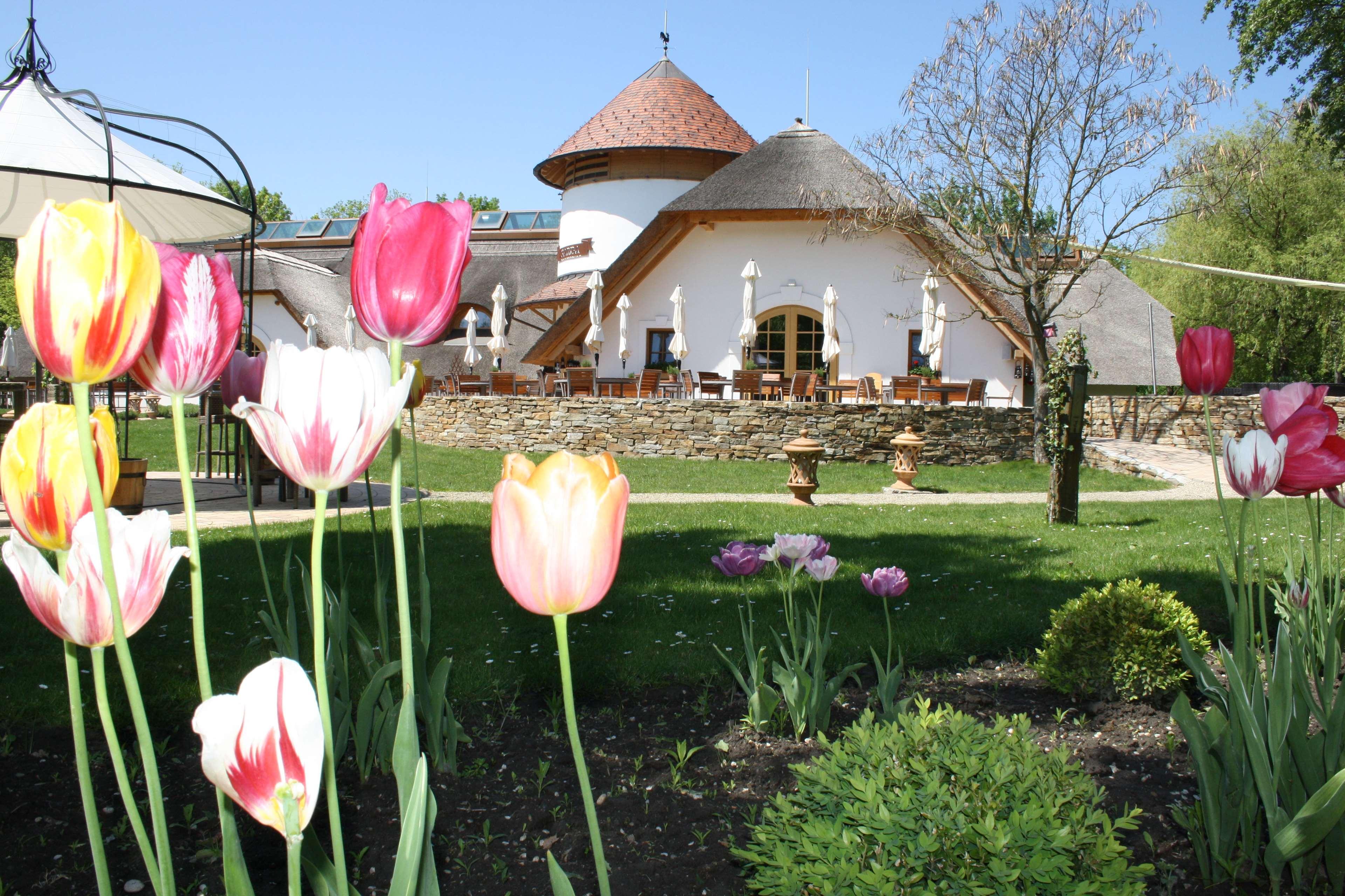 Vila Vita Pannonia