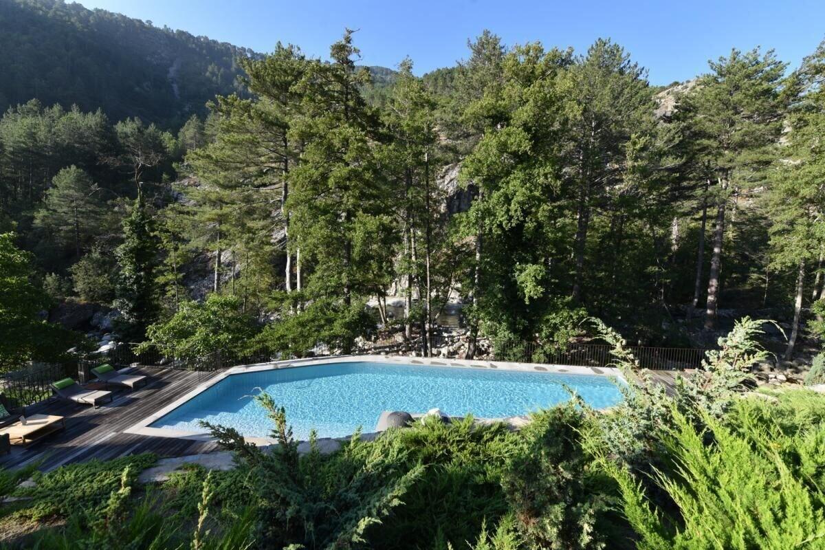 Dominique Colonna by null