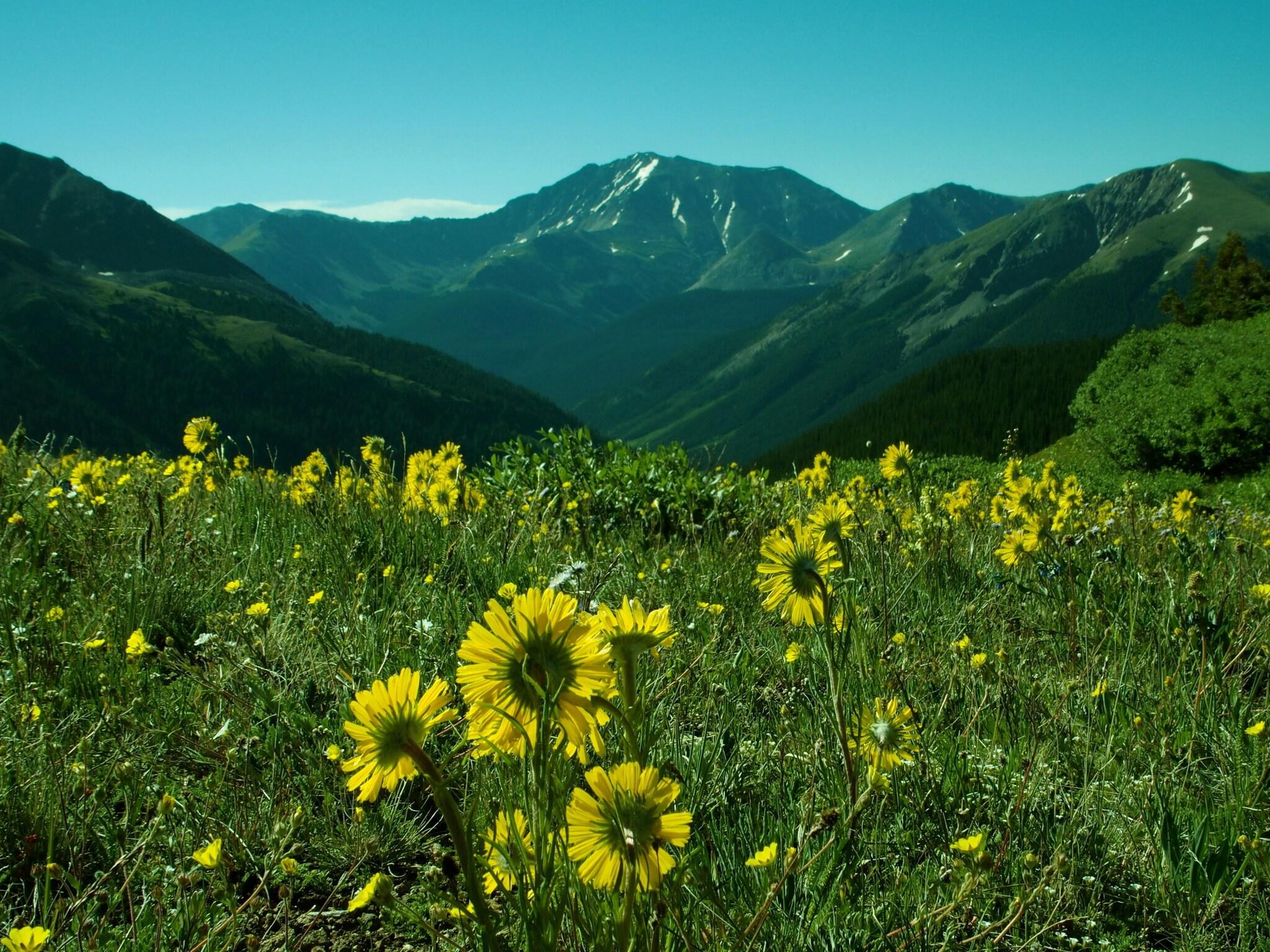 Tyrolean Lodge by null