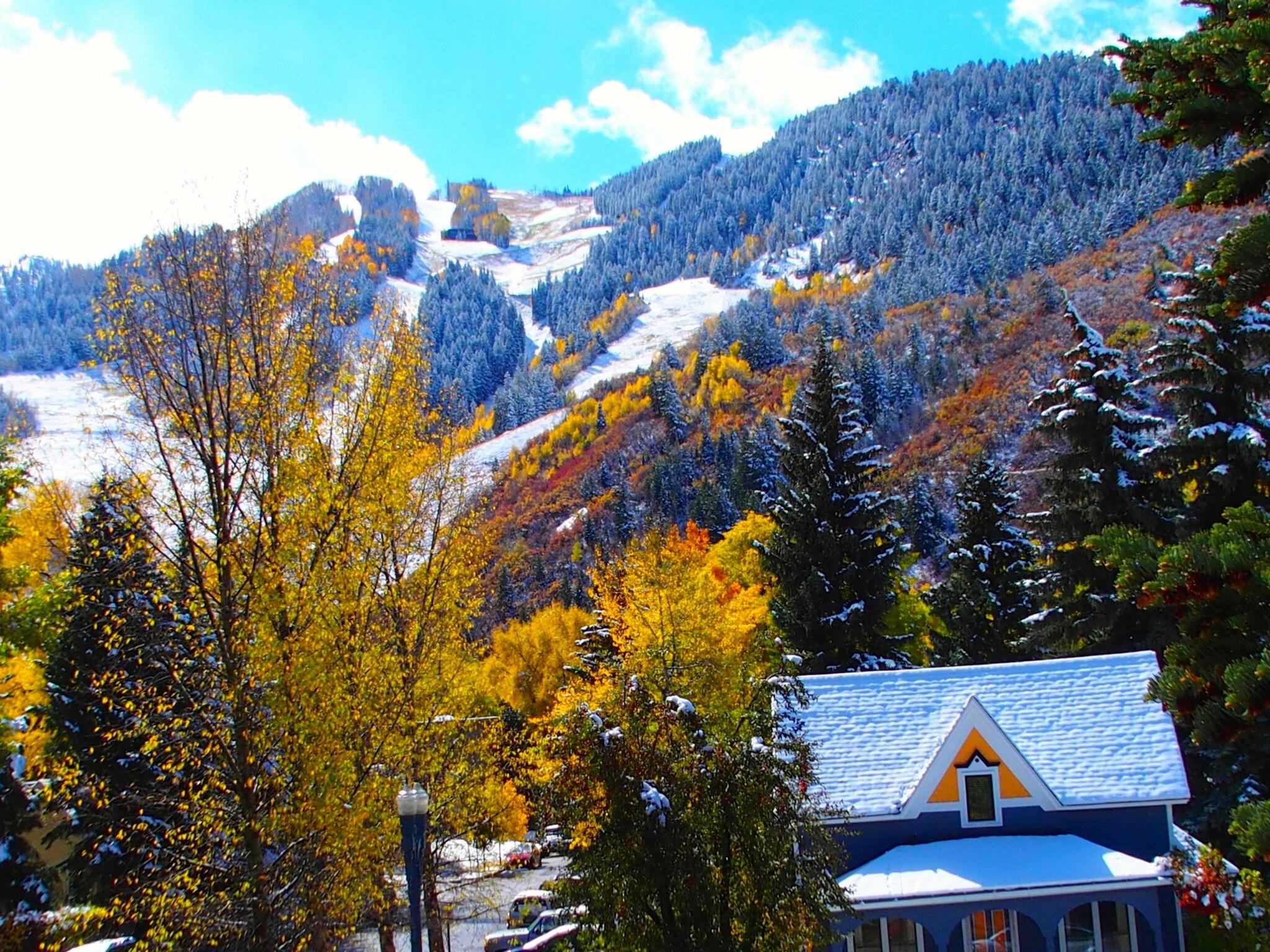 Tyrolean Lodge by null