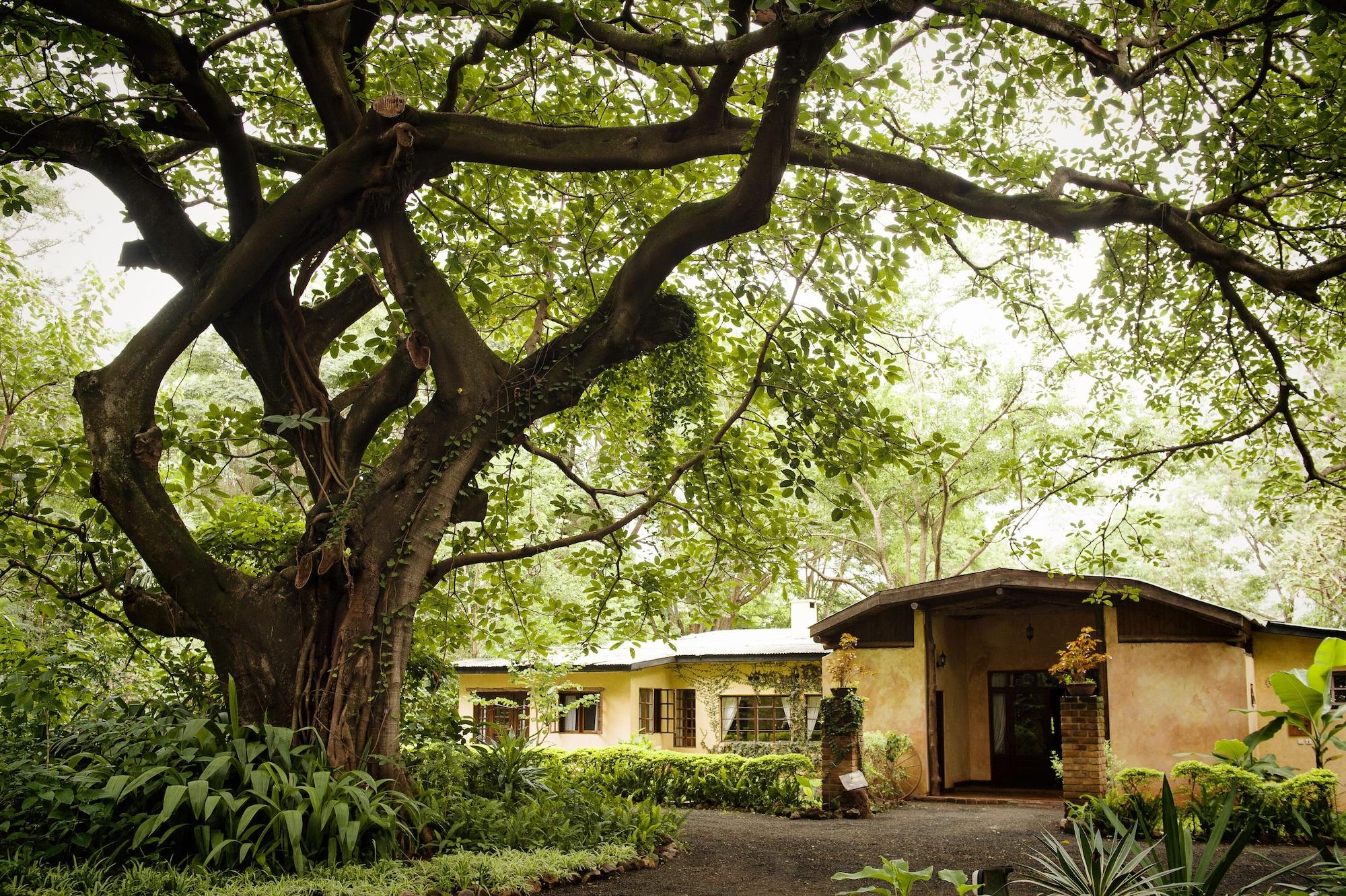 Rivertrees Country Inn by null