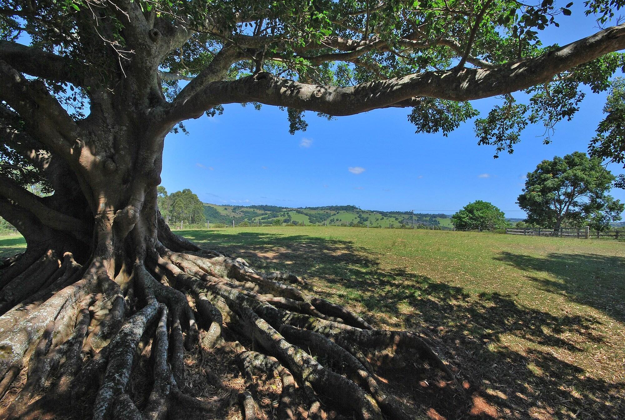 SummerHills Retreat Byron Bay (now Sparkle Tantra) by null