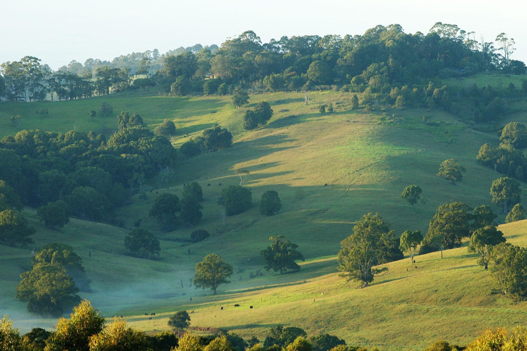 SummerHills Retreat Byron Bay (now Sparkle Tantra) by null
