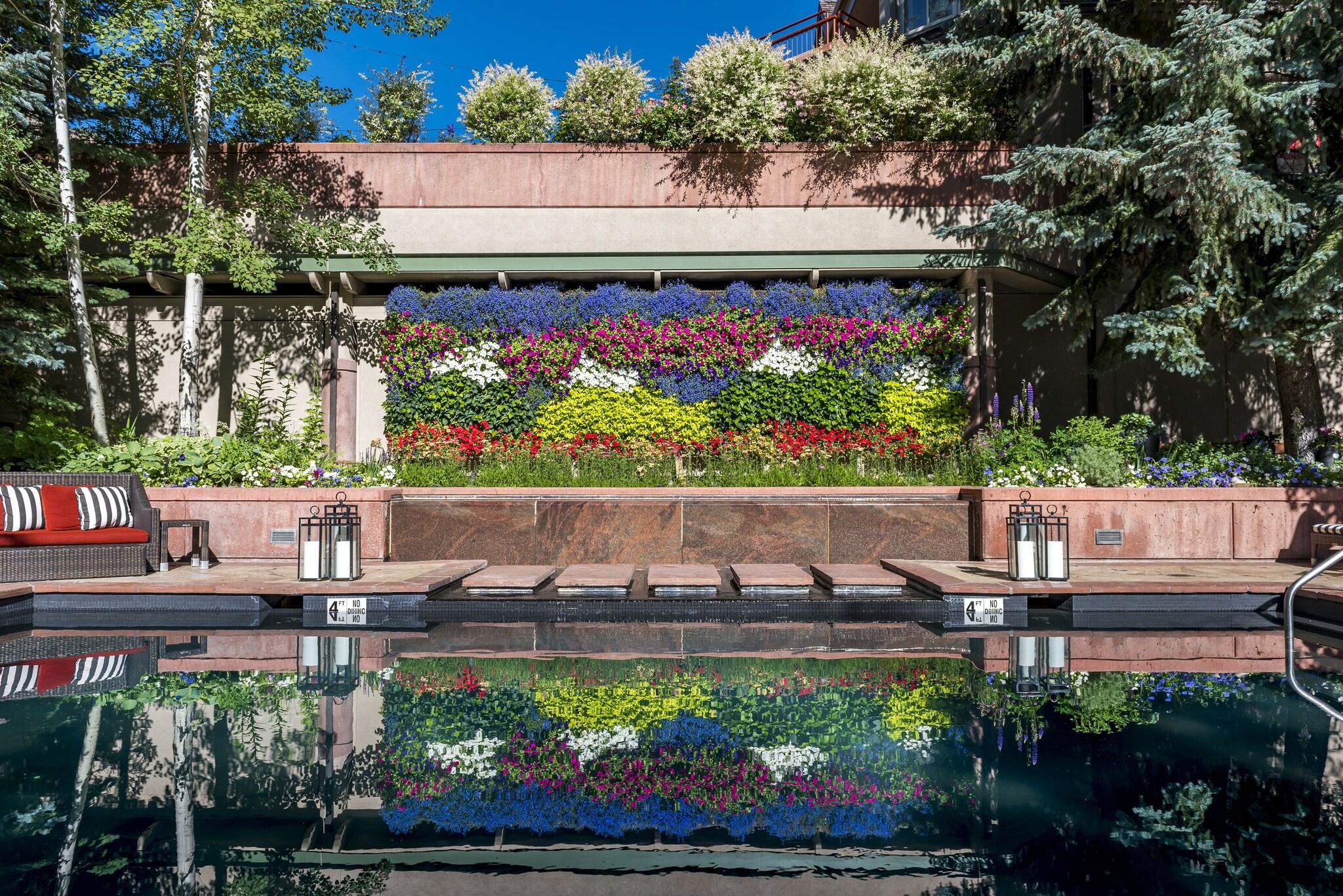 The Little Nell by null