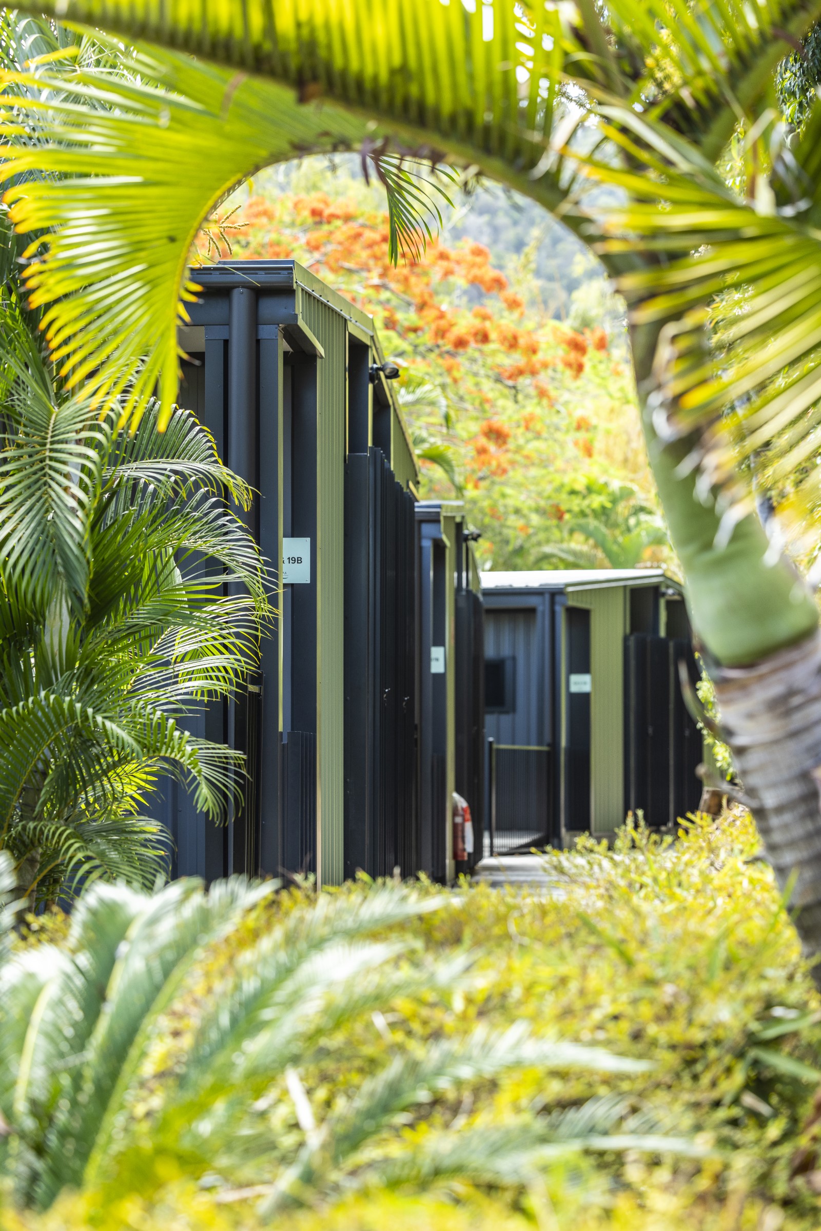 Kipara Tropical Rainforest Retreat by null