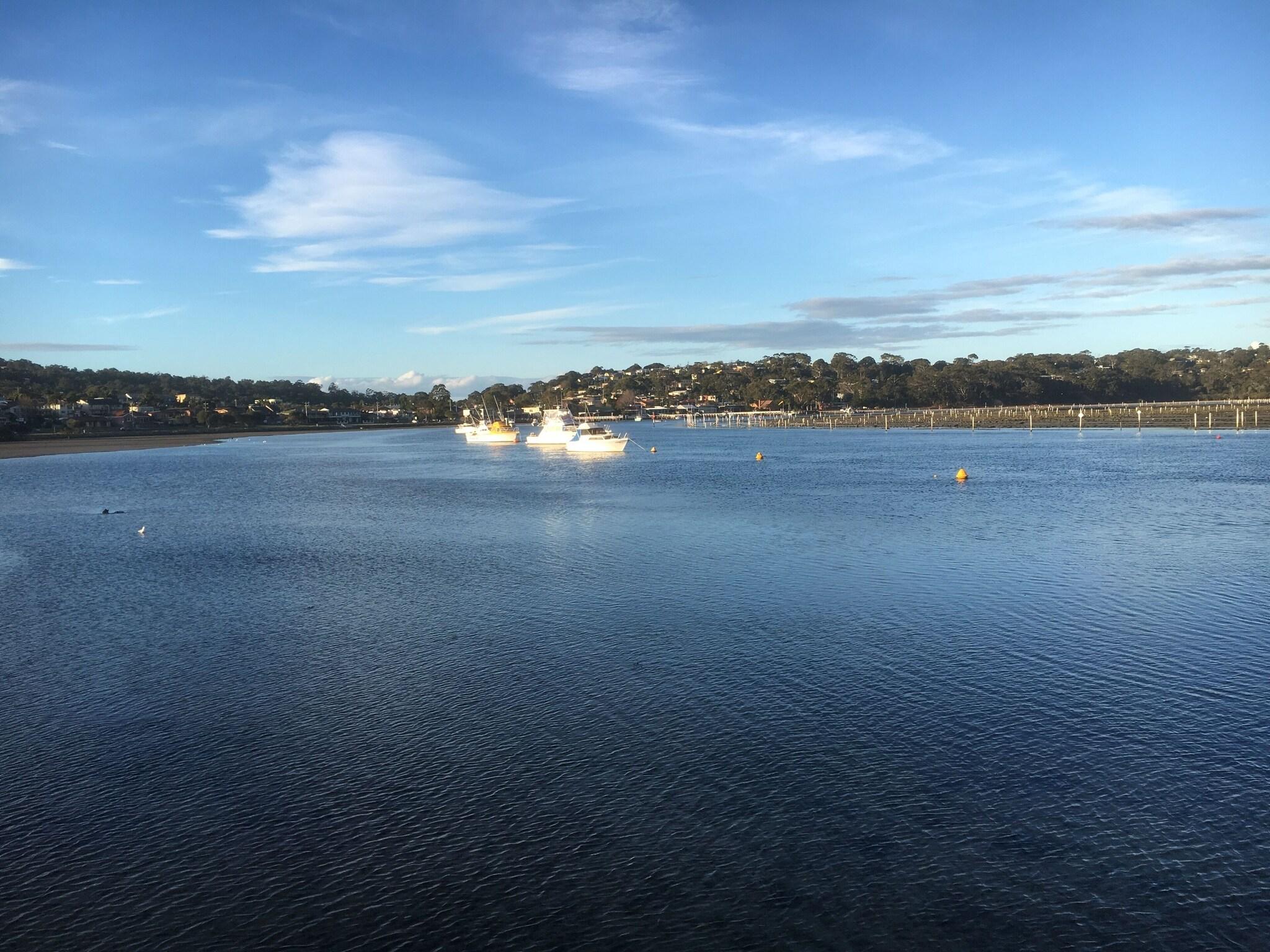 Sapphire Waters Motor Inn by null