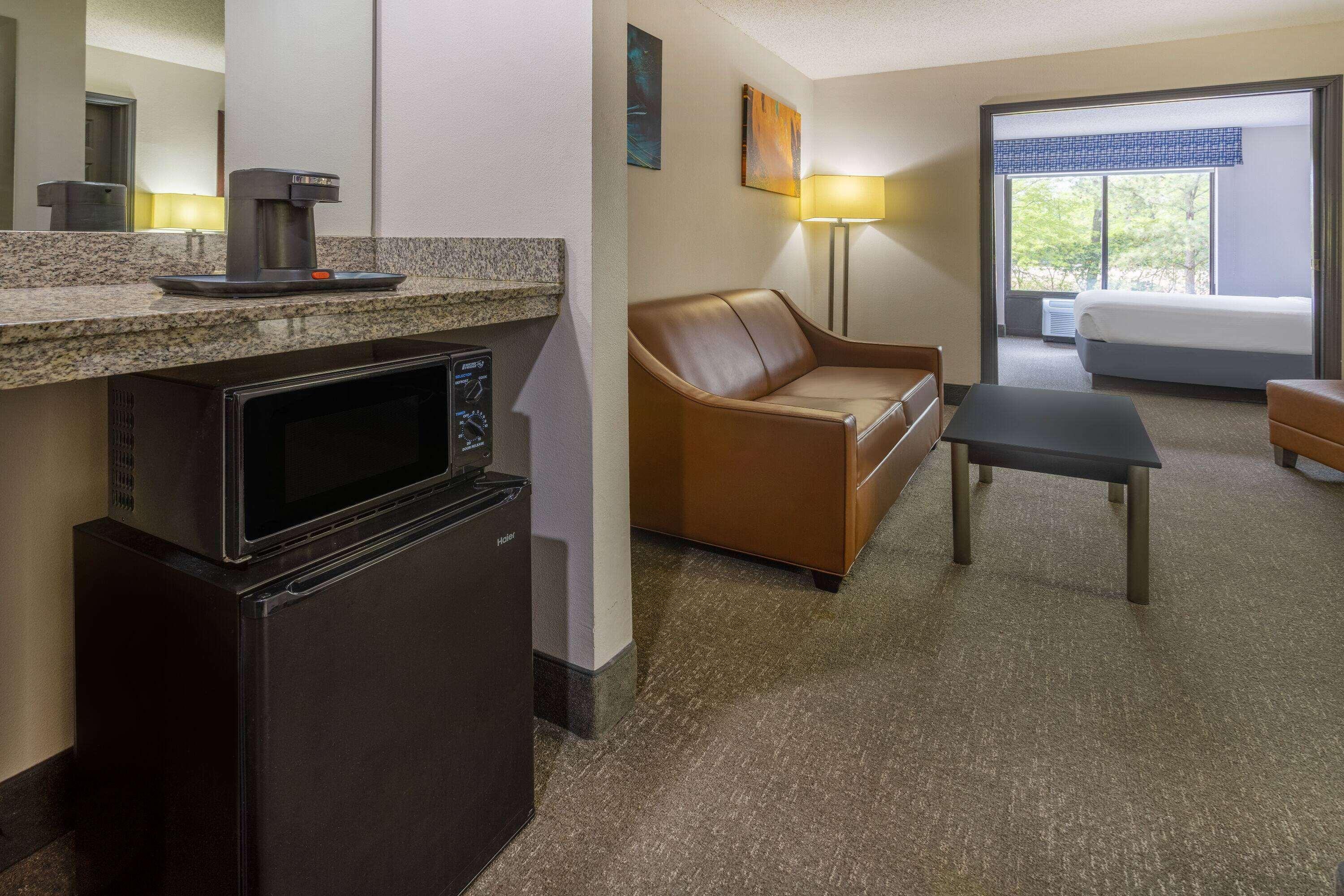 Wingate By Wyndham Atlanta Galleria Center